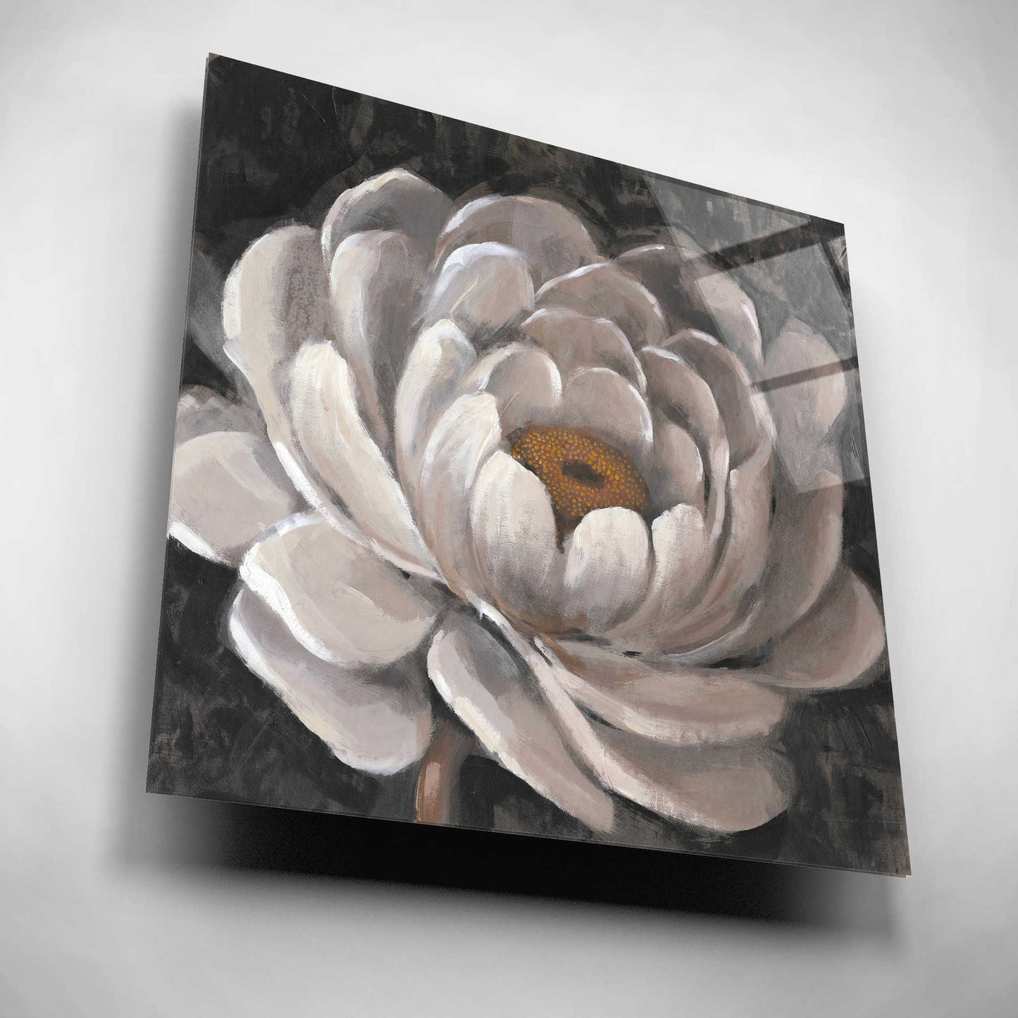 Epic Art 'Nuetral Fleur II' by Tim O'Toole, Acrylic Glass Wall Art,12x12