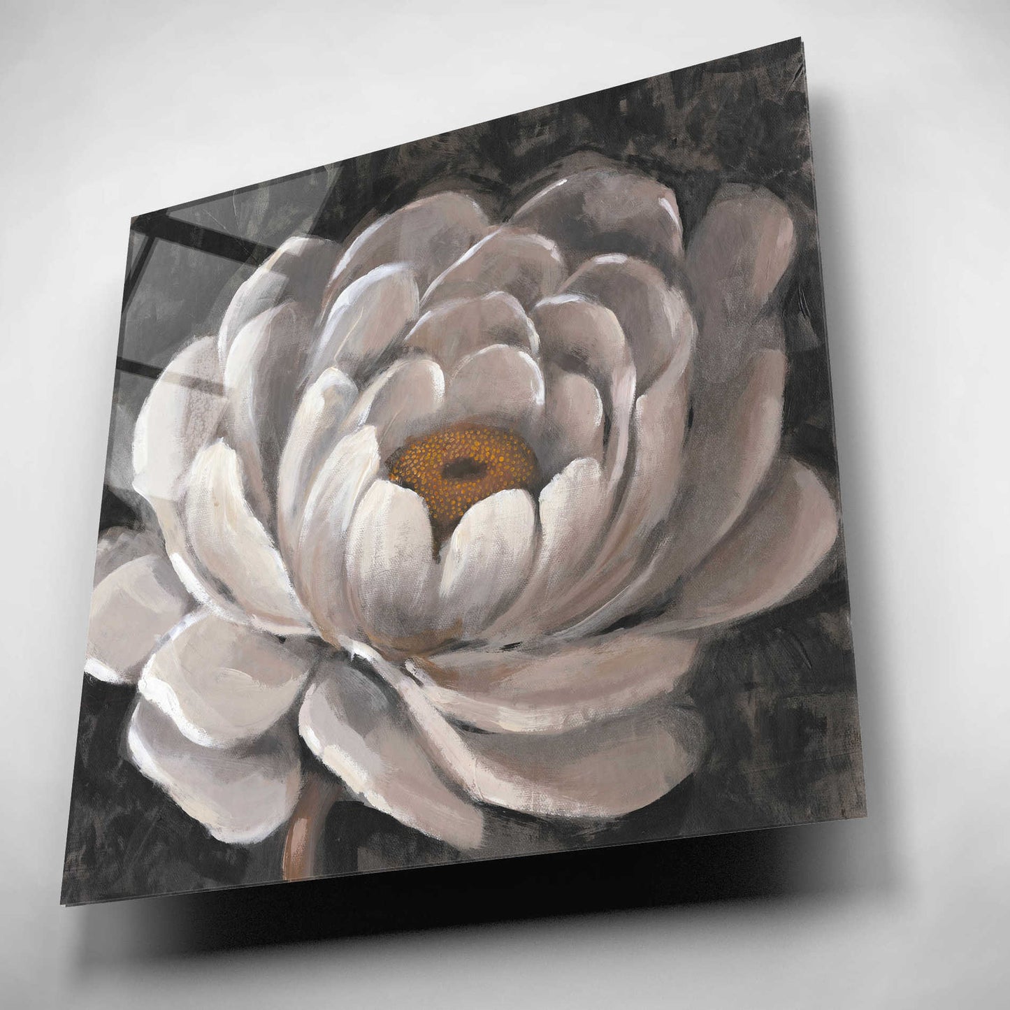 Epic Art 'Nuetral Fleur II' by Tim O'Toole, Acrylic Glass Wall Art,12x12