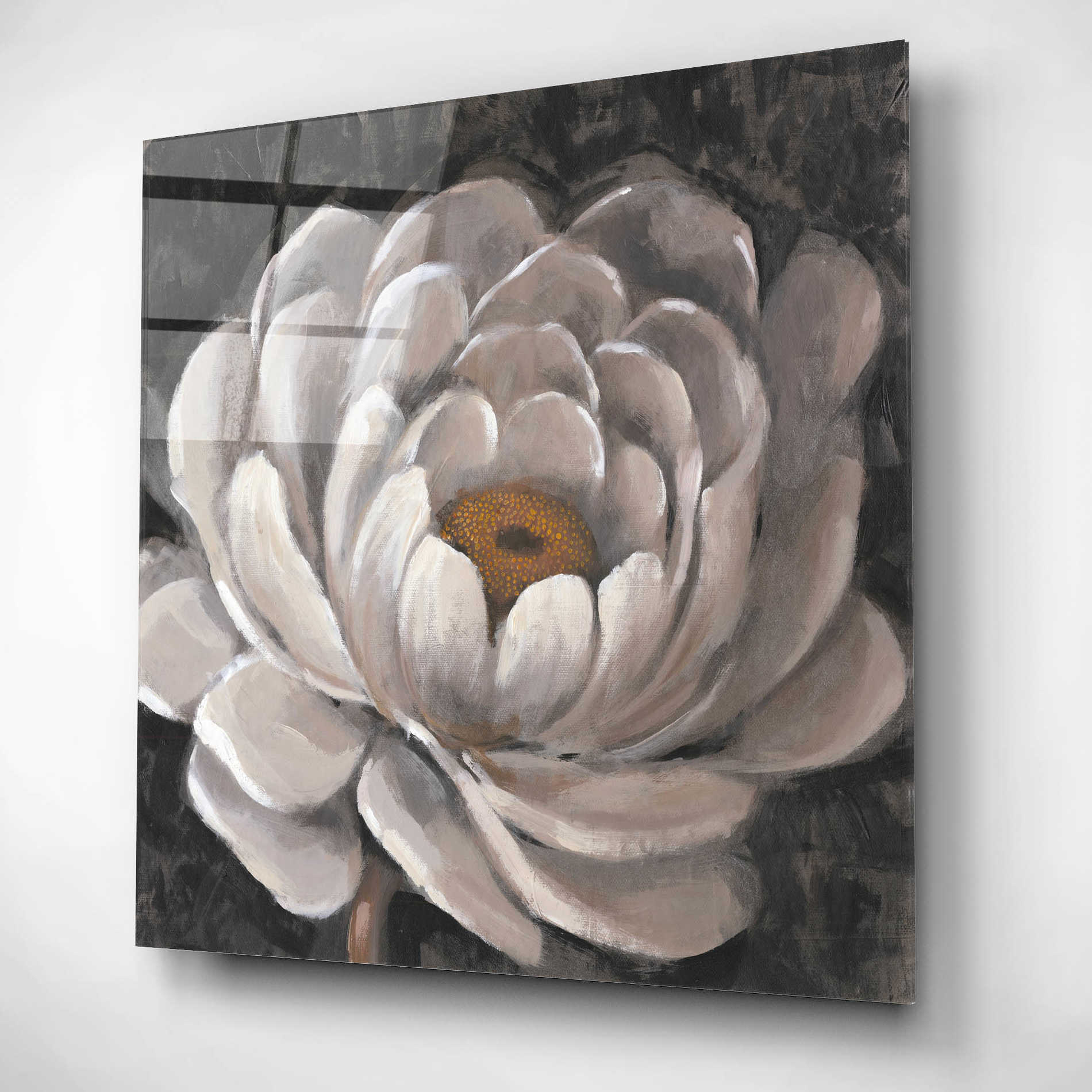 Epic Art 'Nuetral Fleur II' by Tim O'Toole, Acrylic Glass Wall Art,12x12