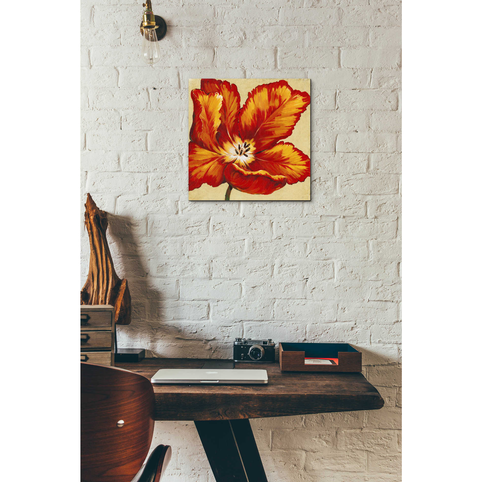 Epic Art 'Parrot Tulip I' by Tim O'Toole, Acrylic Glass Wall Art,12x12