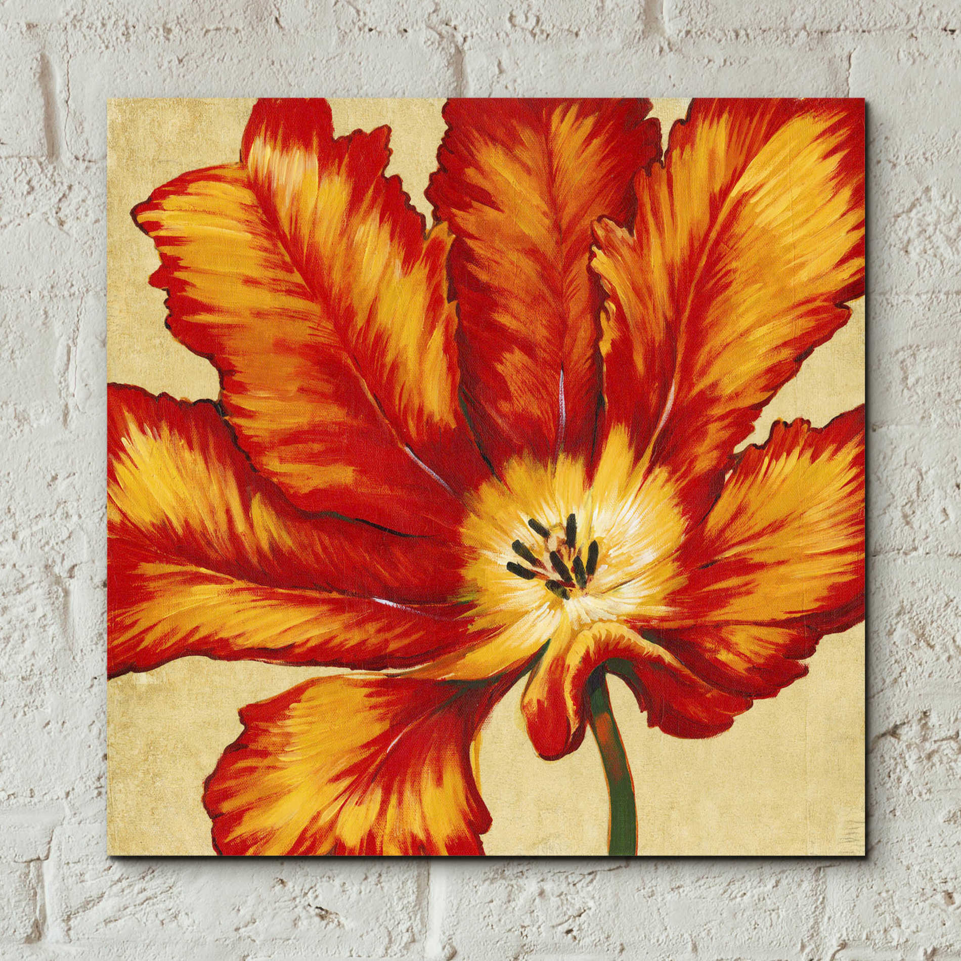 Epic Art 'Parrot Tulip II' by Tim O'Toole, Acrylic Glass Wall Art,12x12