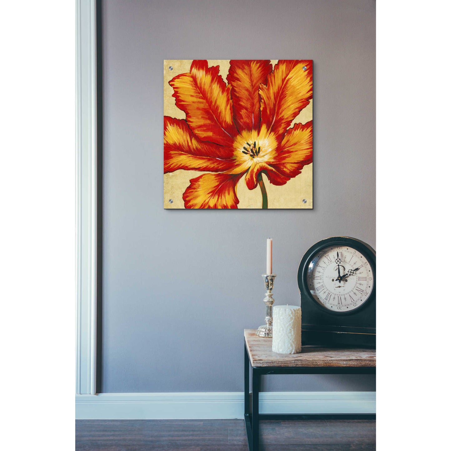 Epic Art 'Parrot Tulip II' by Tim O'Toole, Acrylic Glass Wall Art,24x24