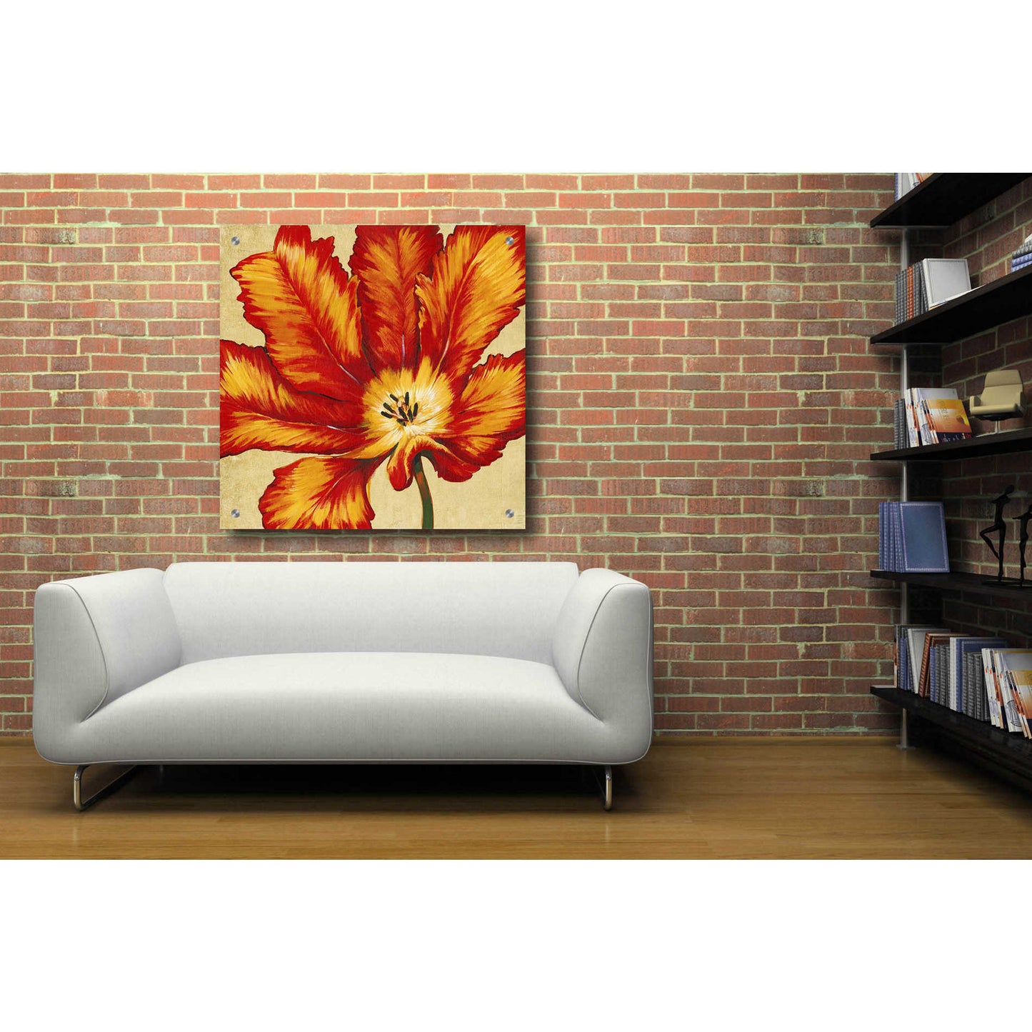 Epic Art 'Parrot Tulip II' by Tim O'Toole, Acrylic Glass Wall Art,36x36