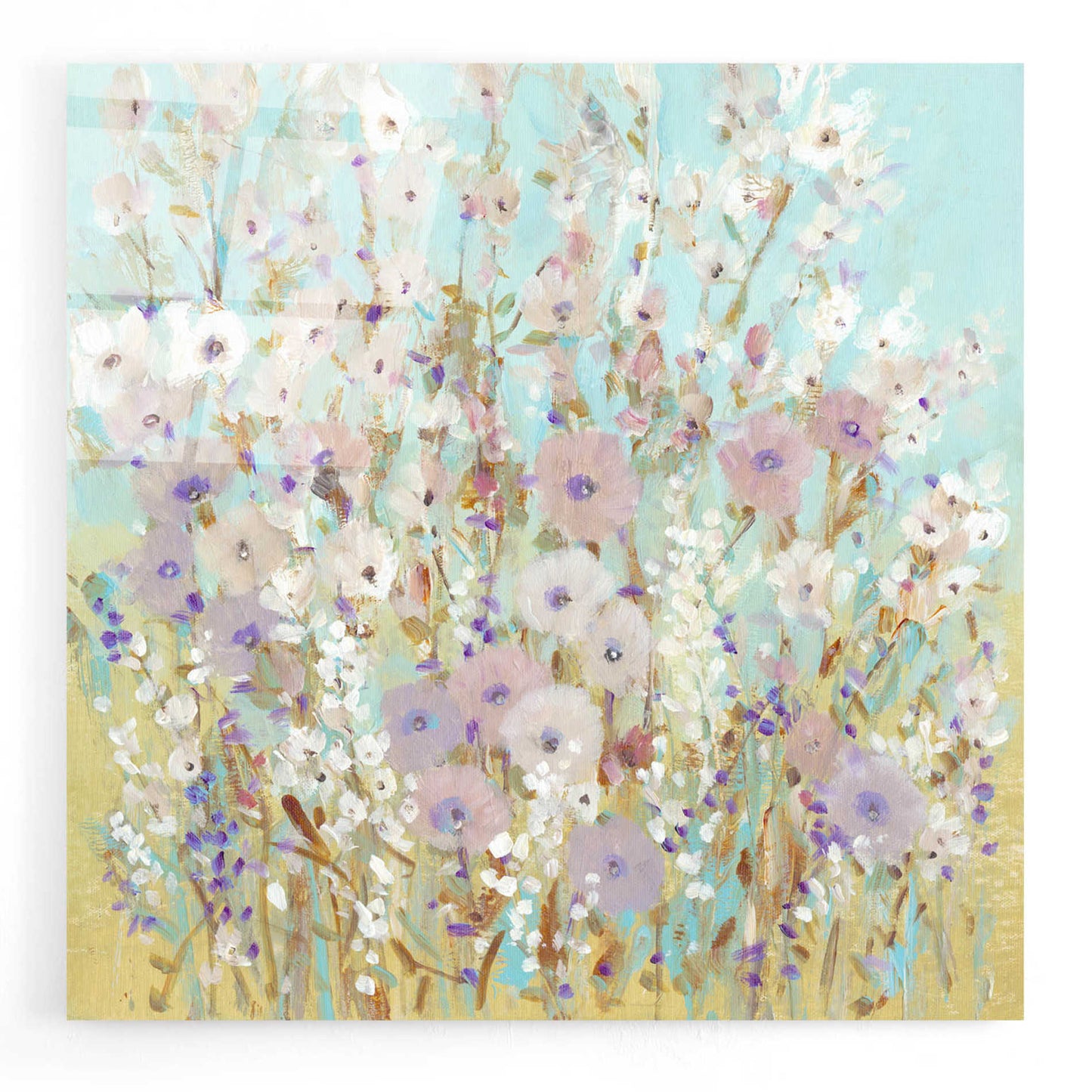 Epic Art 'Mixed Flowers I' by Tim O'Toole, Acrylic Glass Wall Art,24x24