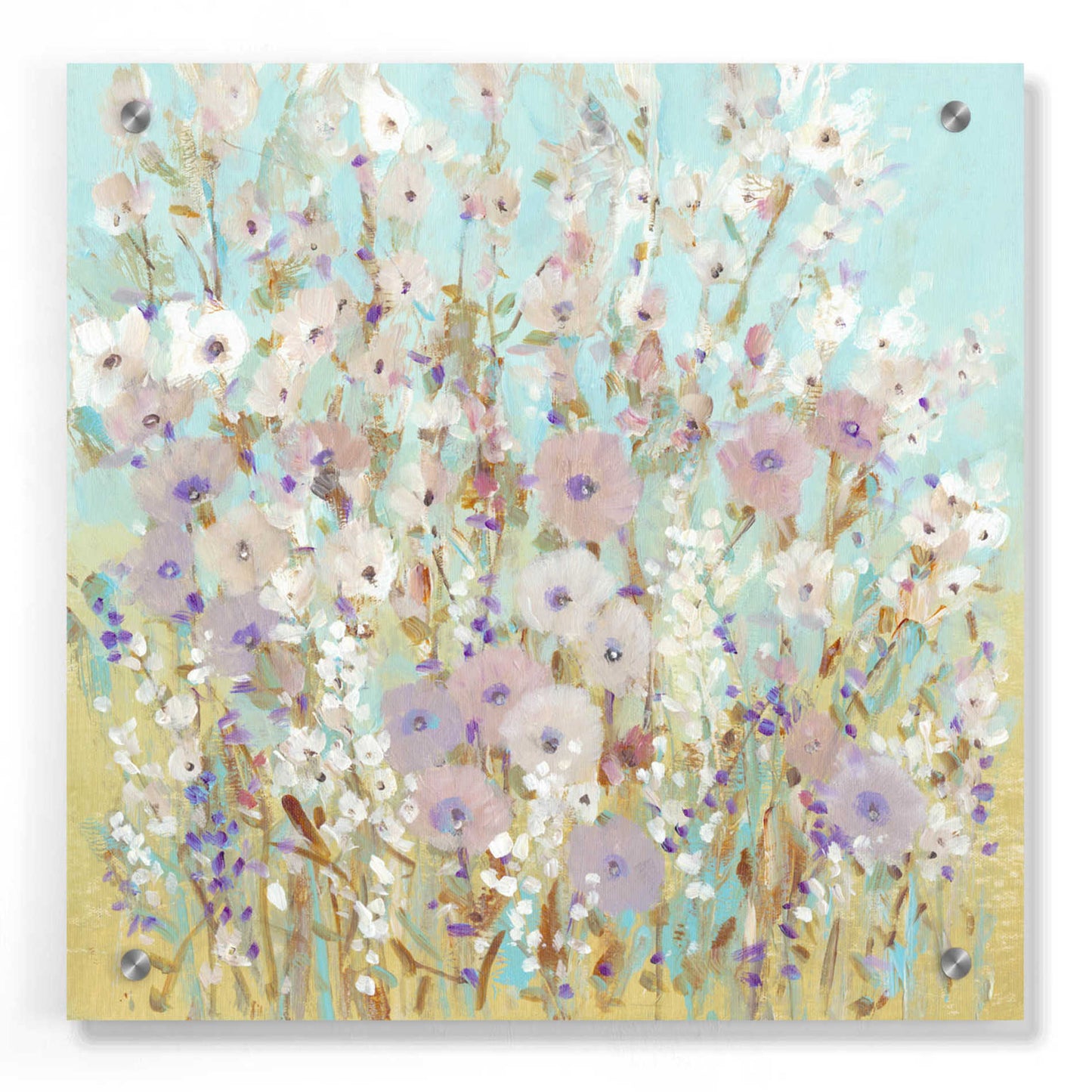 Epic Art 'Mixed Flowers I' by Tim O'Toole, Acrylic Glass Wall Art,36x36