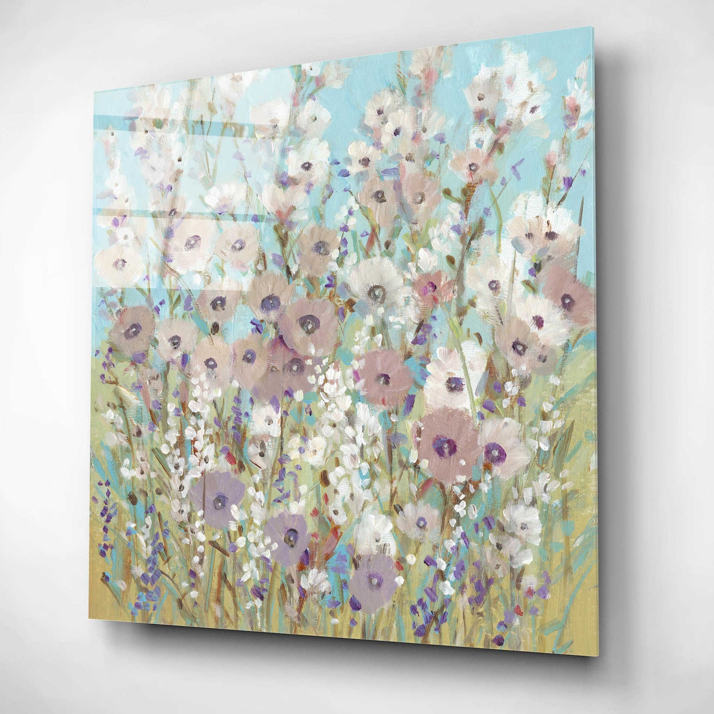 Epic Art 'Mixed Flowers II' by Tim O'Toole, Acrylic Glass Wall Art,12x12