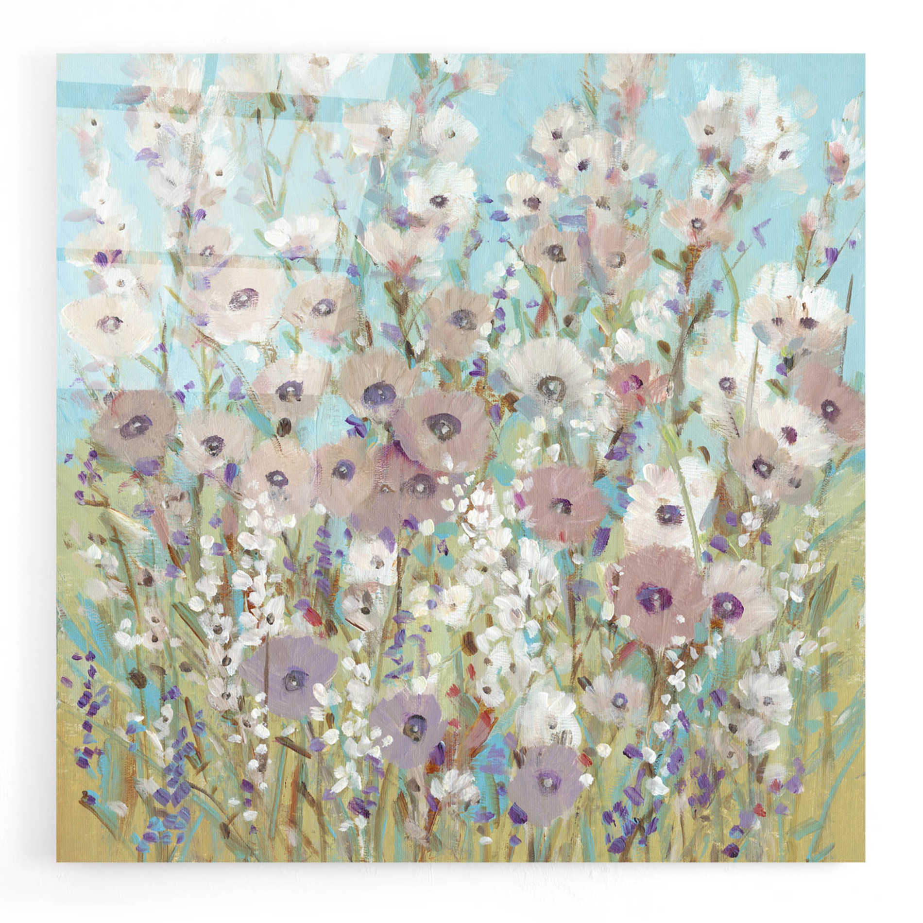 Epic Art 'Mixed Flowers II' by Tim O'Toole, Acrylic Glass Wall Art,24x24