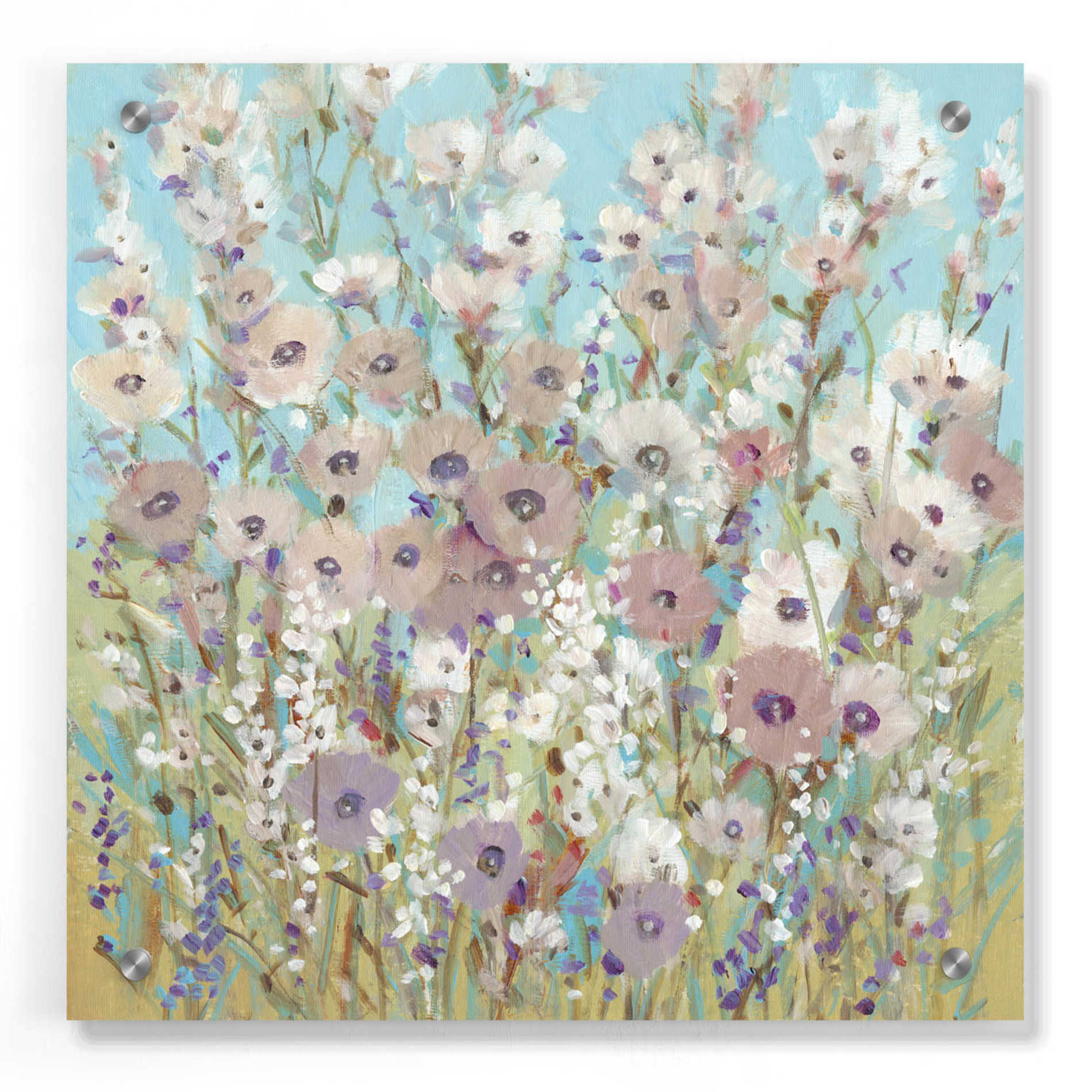 Epic Art 'Mixed Flowers II' by Tim O'Toole, Acrylic Glass Wall Art,36x36