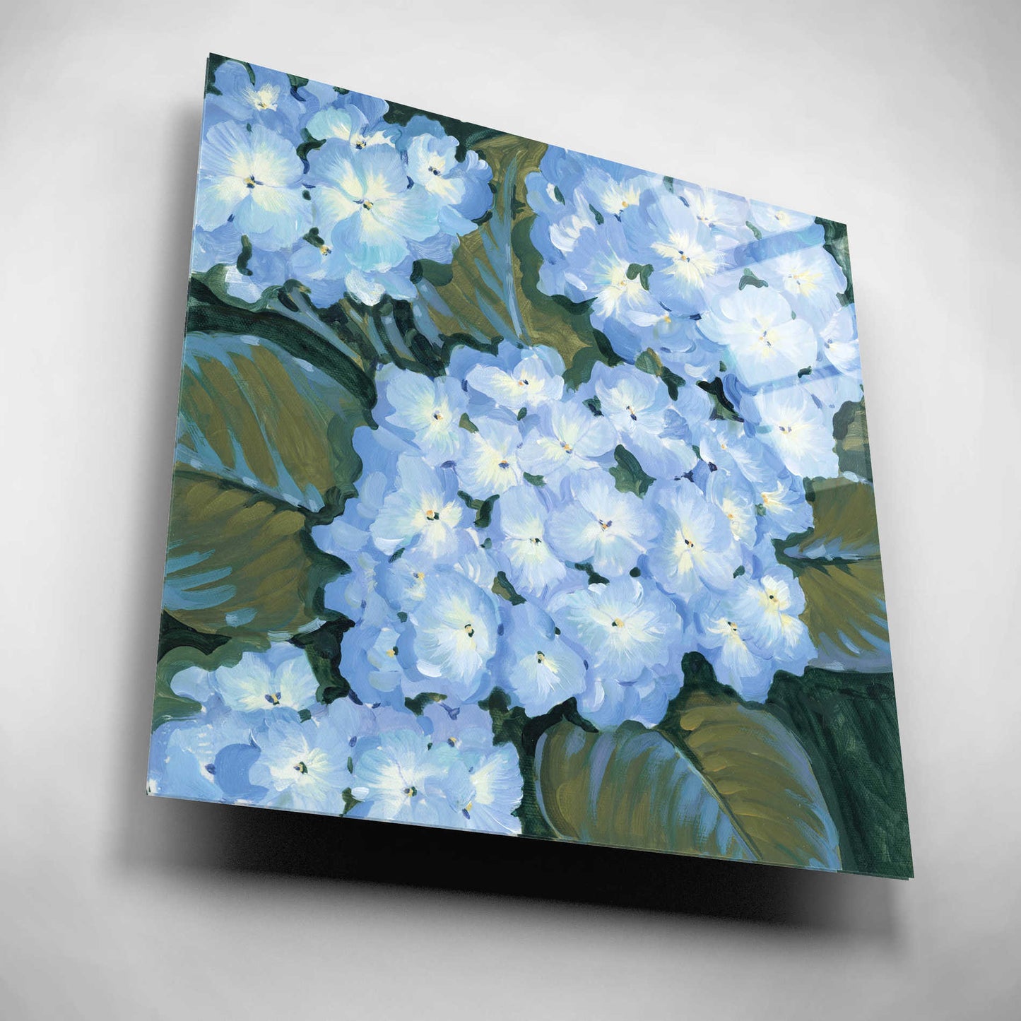 Epic Art 'Blue Hydrangeas I' by Tim O'Toole, Acrylic Glass Wall Art,12x12