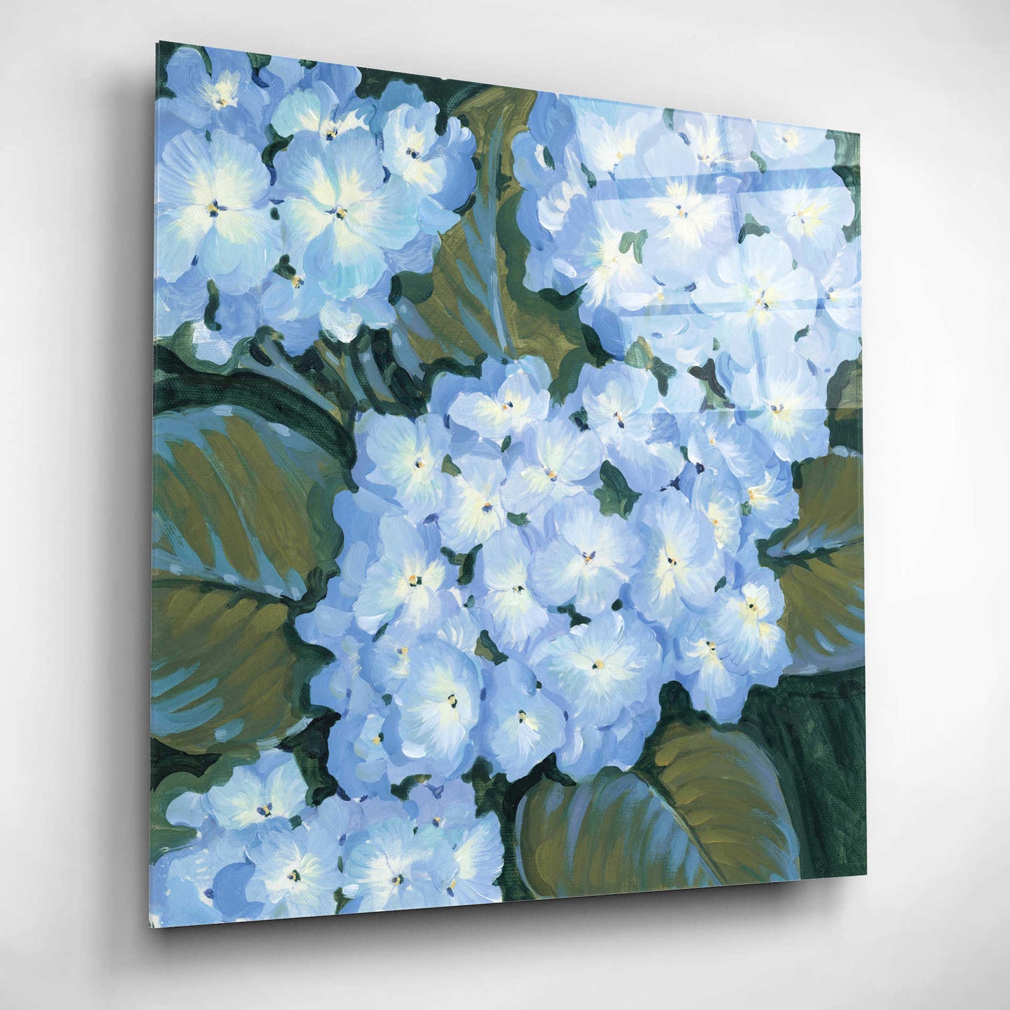 Epic Art 'Blue Hydrangeas I' by Tim O'Toole, Acrylic Glass Wall Art,12x12