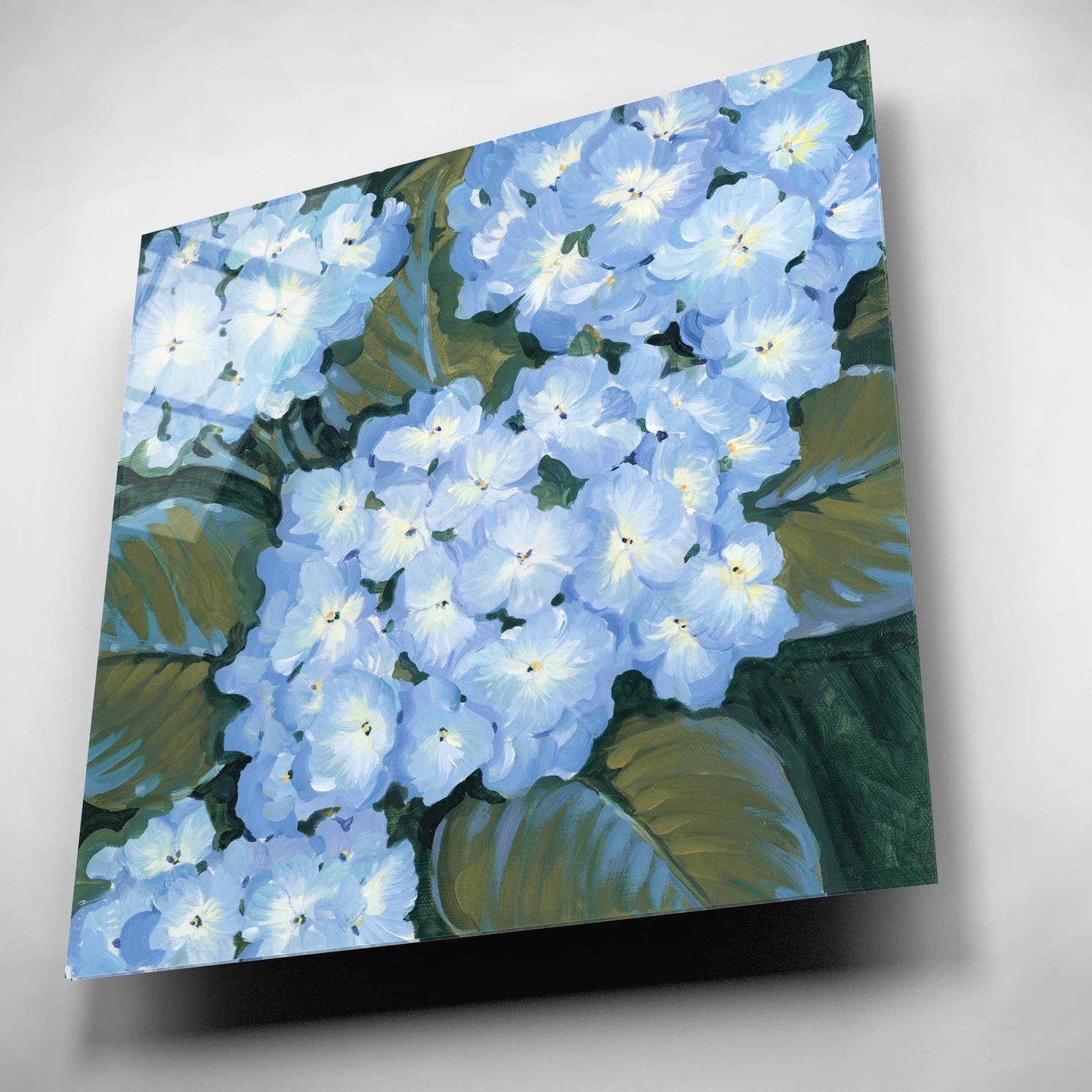 Epic Art 'Blue Hydrangeas I' by Tim O'Toole, Acrylic Glass Wall Art,12x12