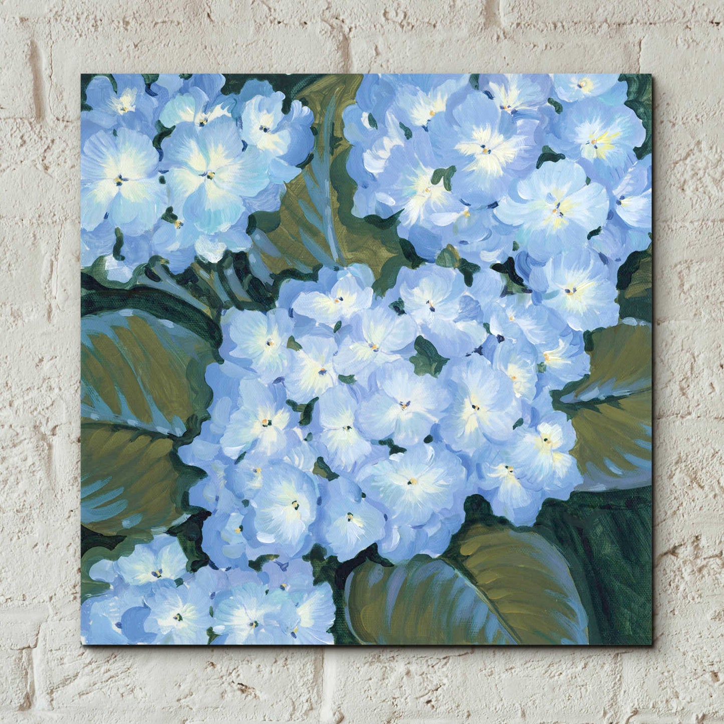 Epic Art 'Blue Hydrangeas I' by Tim O'Toole, Acrylic Glass Wall Art,12x12