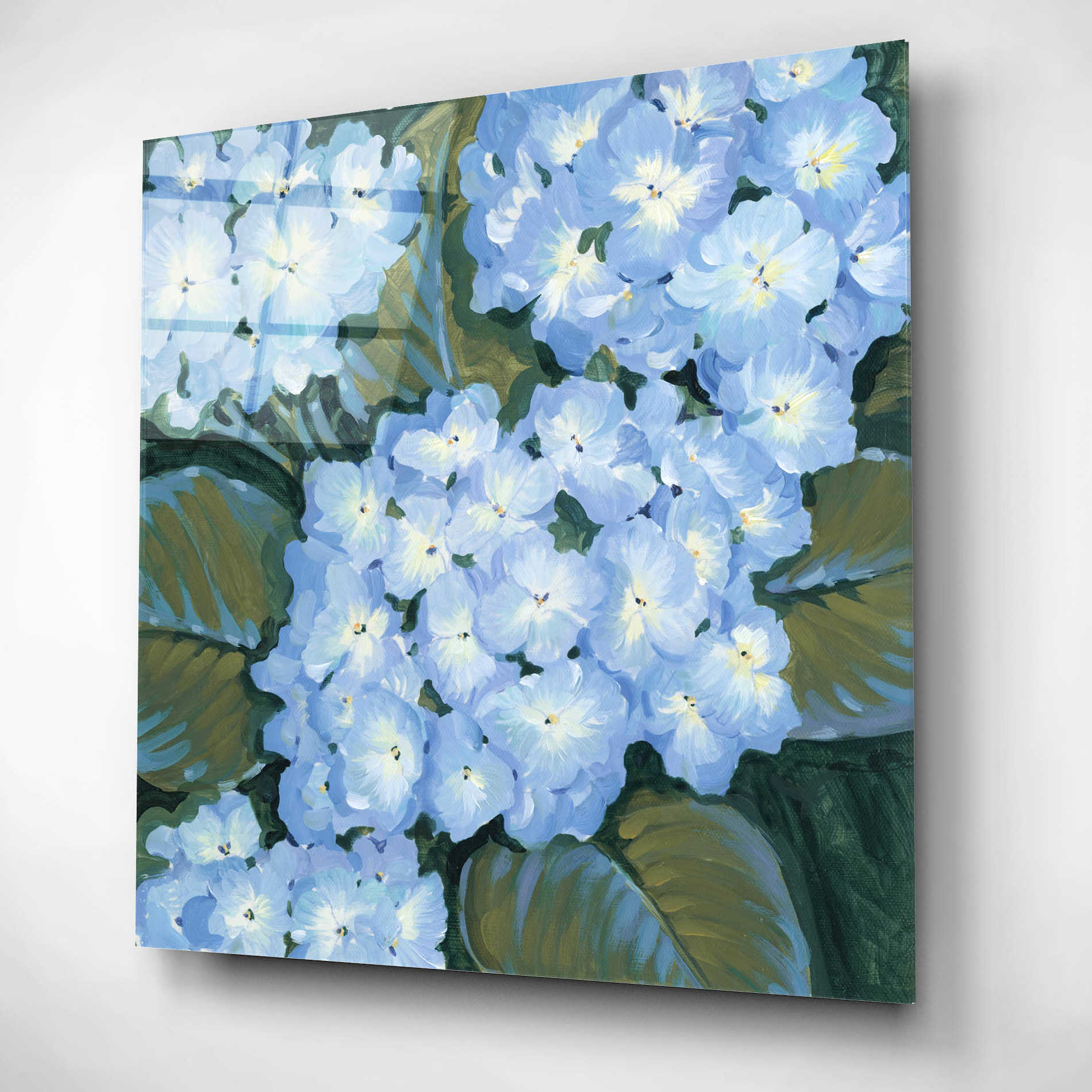 Epic Art 'Blue Hydrangeas I' by Tim O'Toole, Acrylic Glass Wall Art,12x12