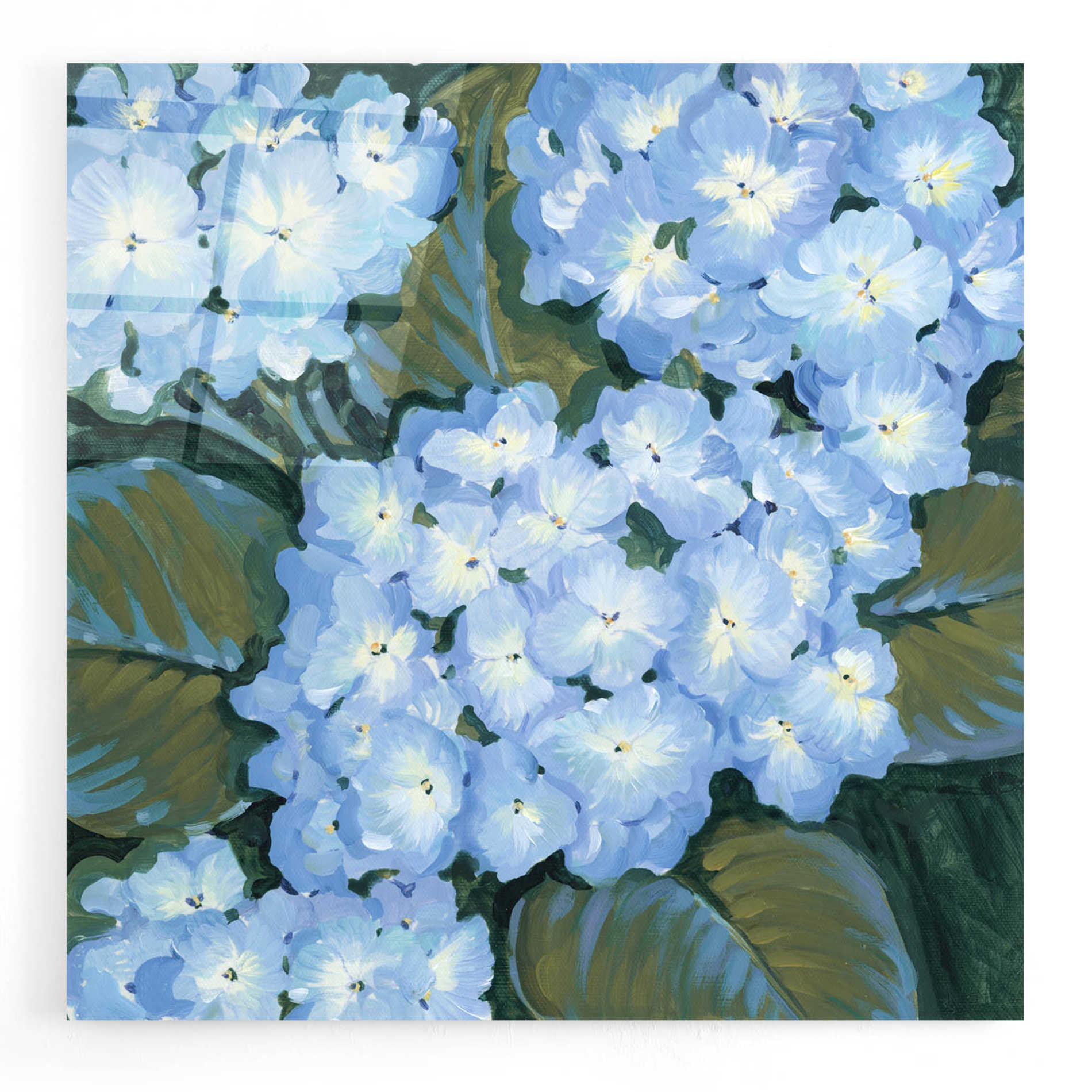 Epic Art 'Blue Hydrangeas I' by Tim O'Toole, Acrylic Glass Wall Art,24x24