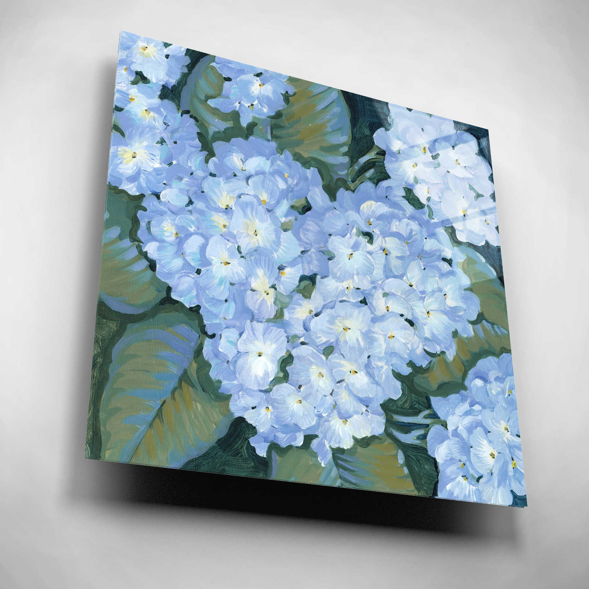 Epic Art 'Blue Hydrangeas II' by Tim O'Toole, Acrylic Glass Wall Art,12x12