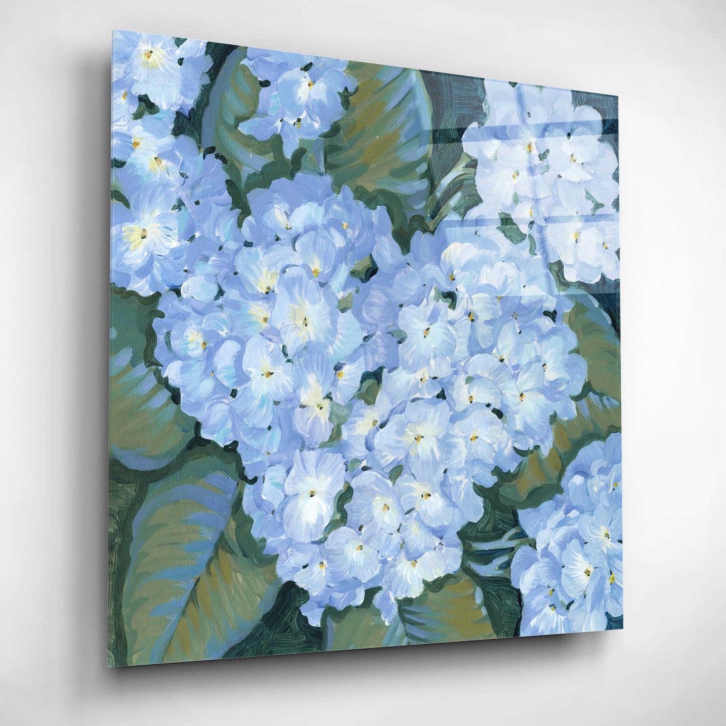 Epic Art 'Blue Hydrangeas II' by Tim O'Toole, Acrylic Glass Wall Art,12x12