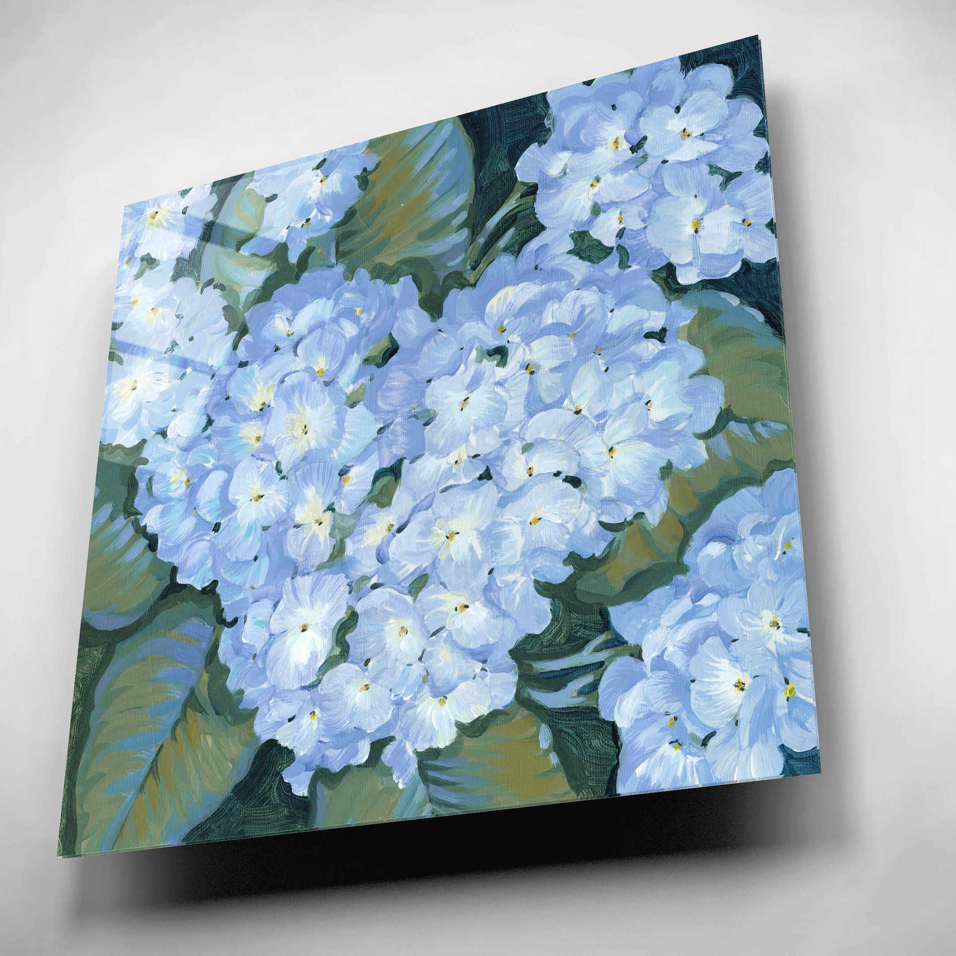 Epic Art 'Blue Hydrangeas II' by Tim O'Toole, Acrylic Glass Wall Art,12x12