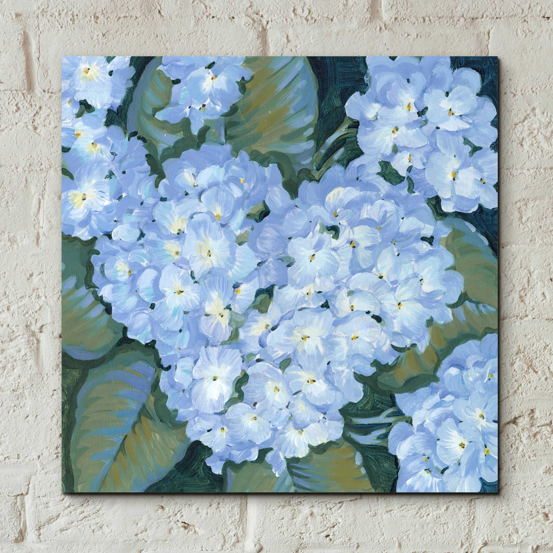 Epic Art 'Blue Hydrangeas II' by Tim O'Toole, Acrylic Glass Wall Art,12x12