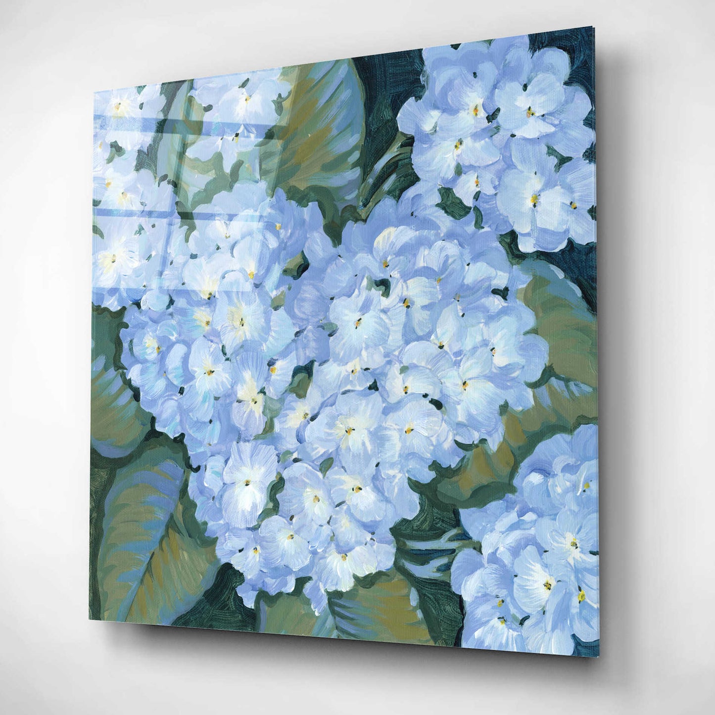 Epic Art 'Blue Hydrangeas II' by Tim O'Toole, Acrylic Glass Wall Art,12x12