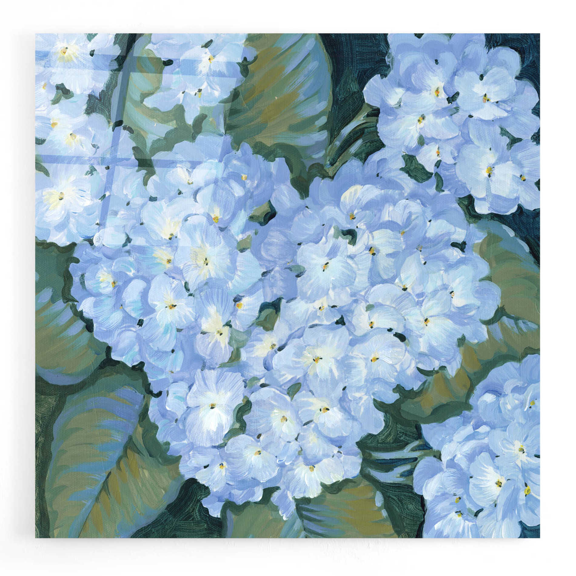 Epic Art 'Blue Hydrangeas II' by Tim O'Toole, Acrylic Glass Wall Art,24x24