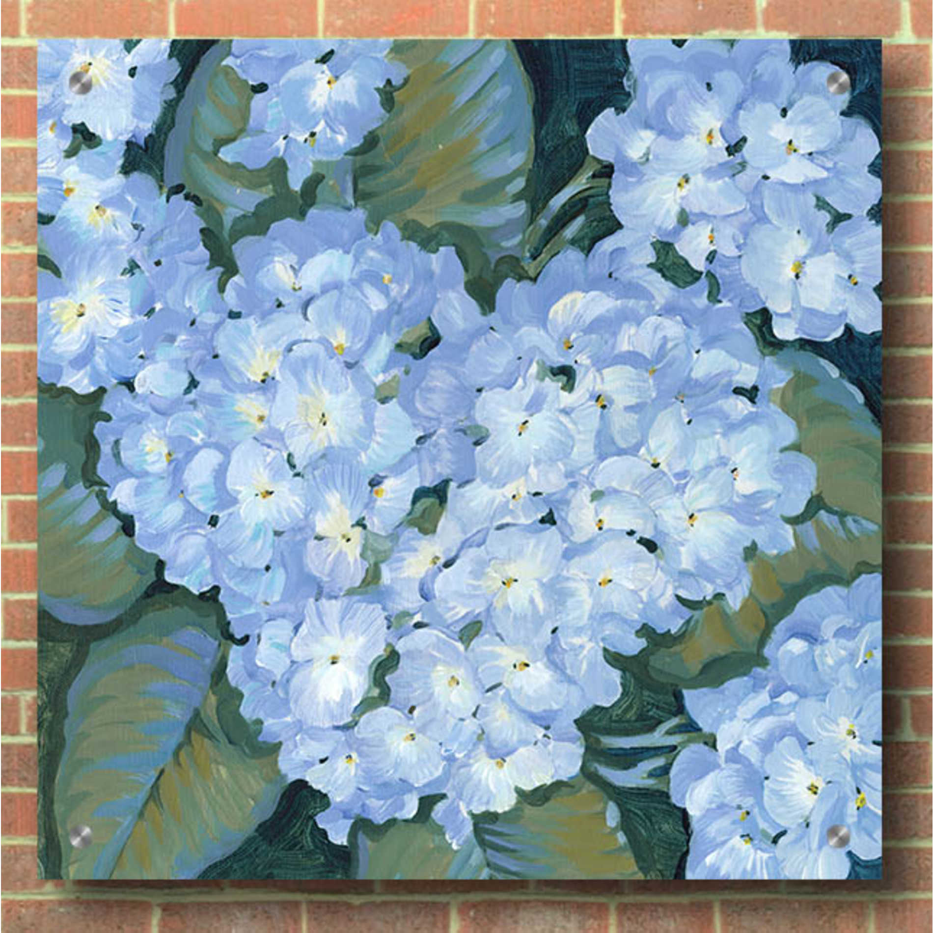 Epic Art 'Blue Hydrangeas II' by Tim O'Toole, Acrylic Glass Wall Art,36x36