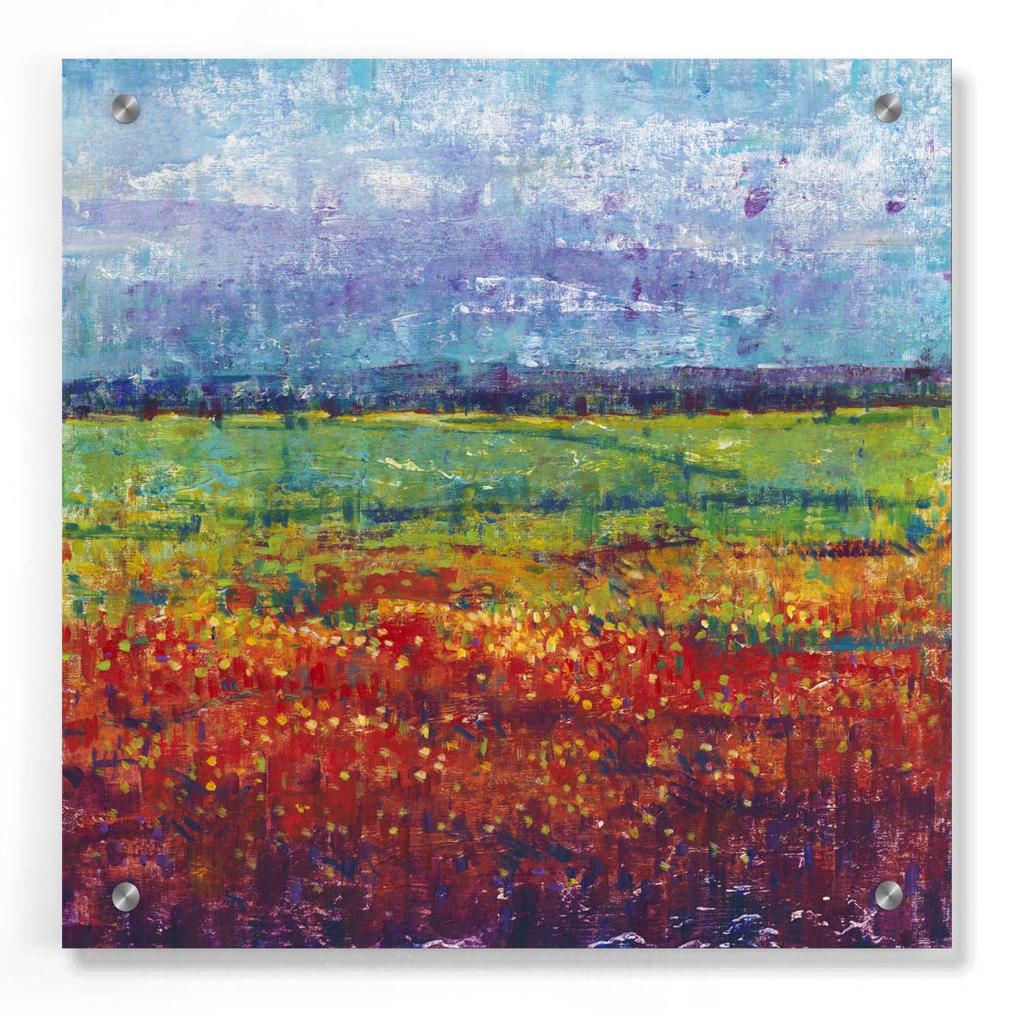 Epic Art 'On Summer Day I' by Tim O'Toole, Acrylic Glass Wall Art,36x36