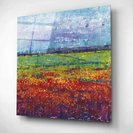Epic Art 'On Summer Day I' by Tim O'Toole, Acrylic Glass Wall Art