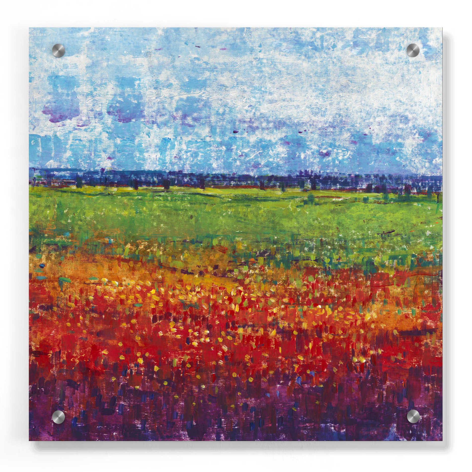 Epic Art 'On Summer Day II' by Tim O'Toole, Acrylic Glass Wall Art,36x36