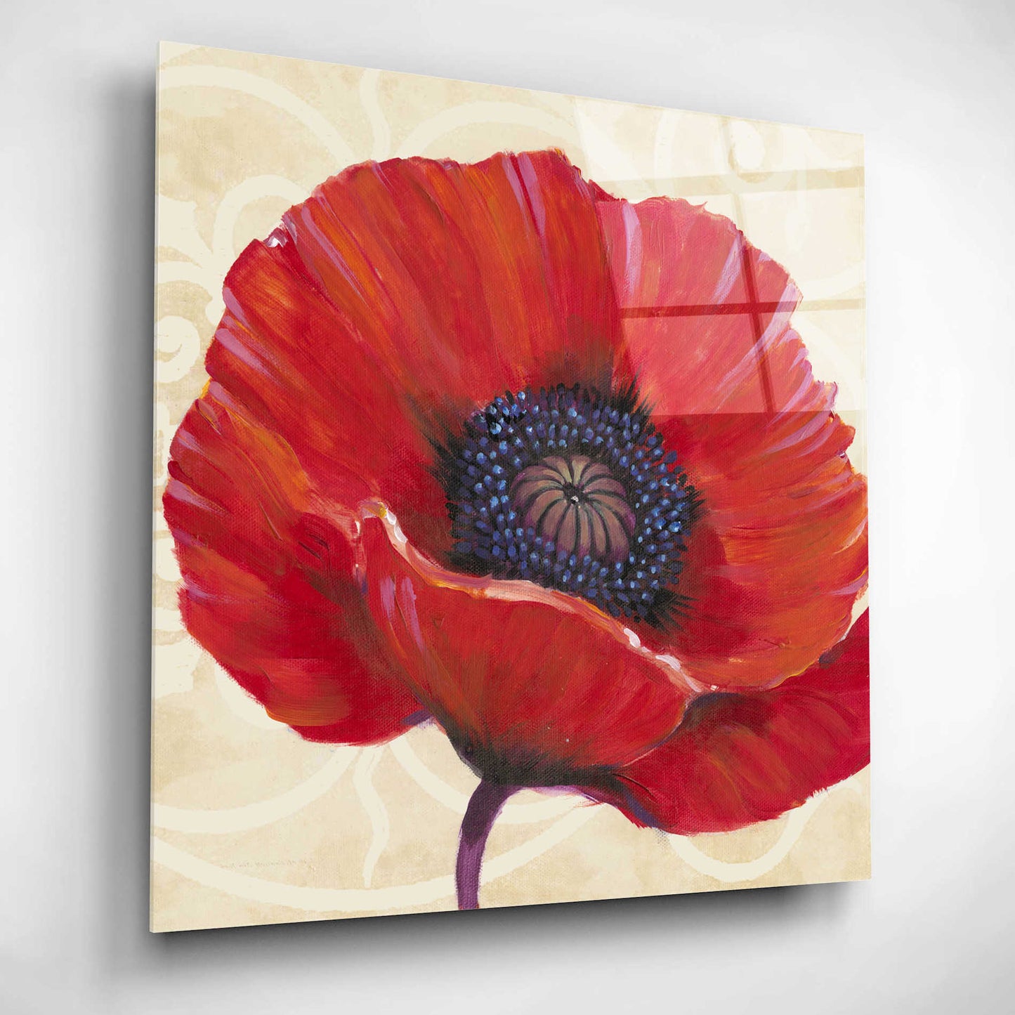 Epic Art 'Red Poppy I' by Tim O'Toole, Acrylic Glass Wall Art,12x12