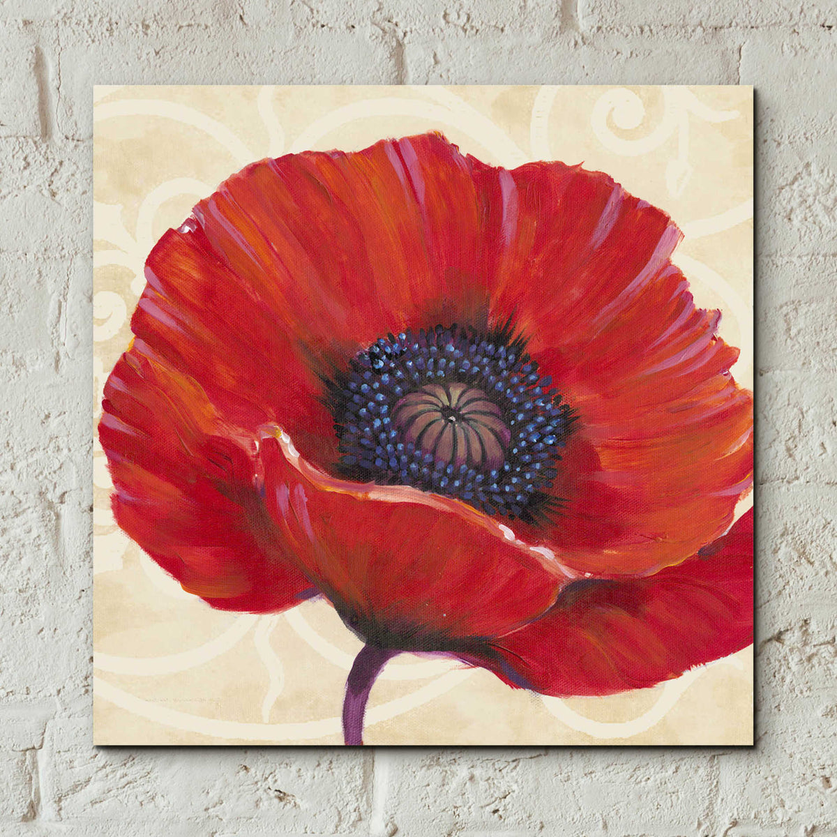 Epic Art 'Red Poppy I' by Tim O'Toole, Acrylic Glass Wall Art,12x12