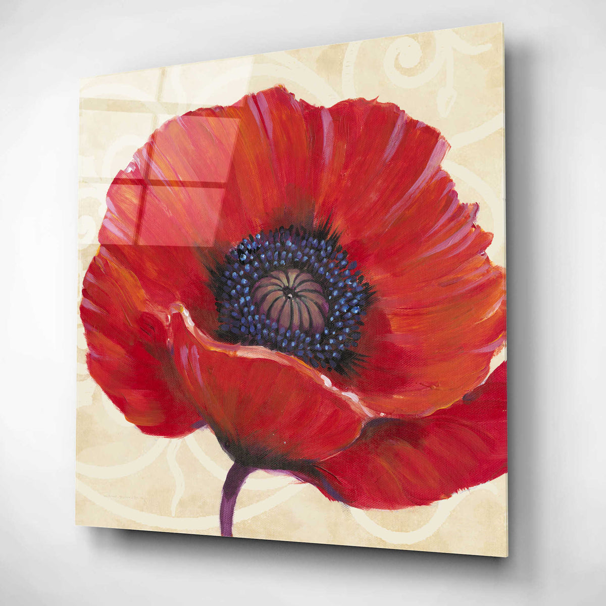 Epic Art 'Red Poppy I' by Tim O'Toole, Acrylic Glass Wall Art