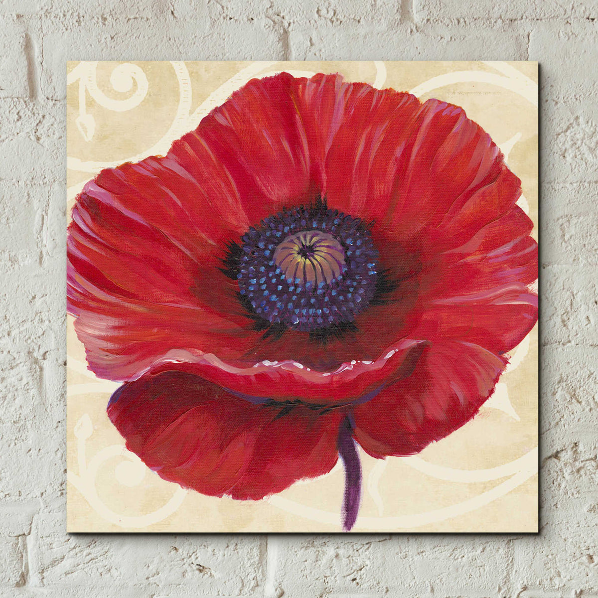 Epic Art 'Red Poppy II' by Tim O'Toole, Acrylic Glass Wall Art,12x12