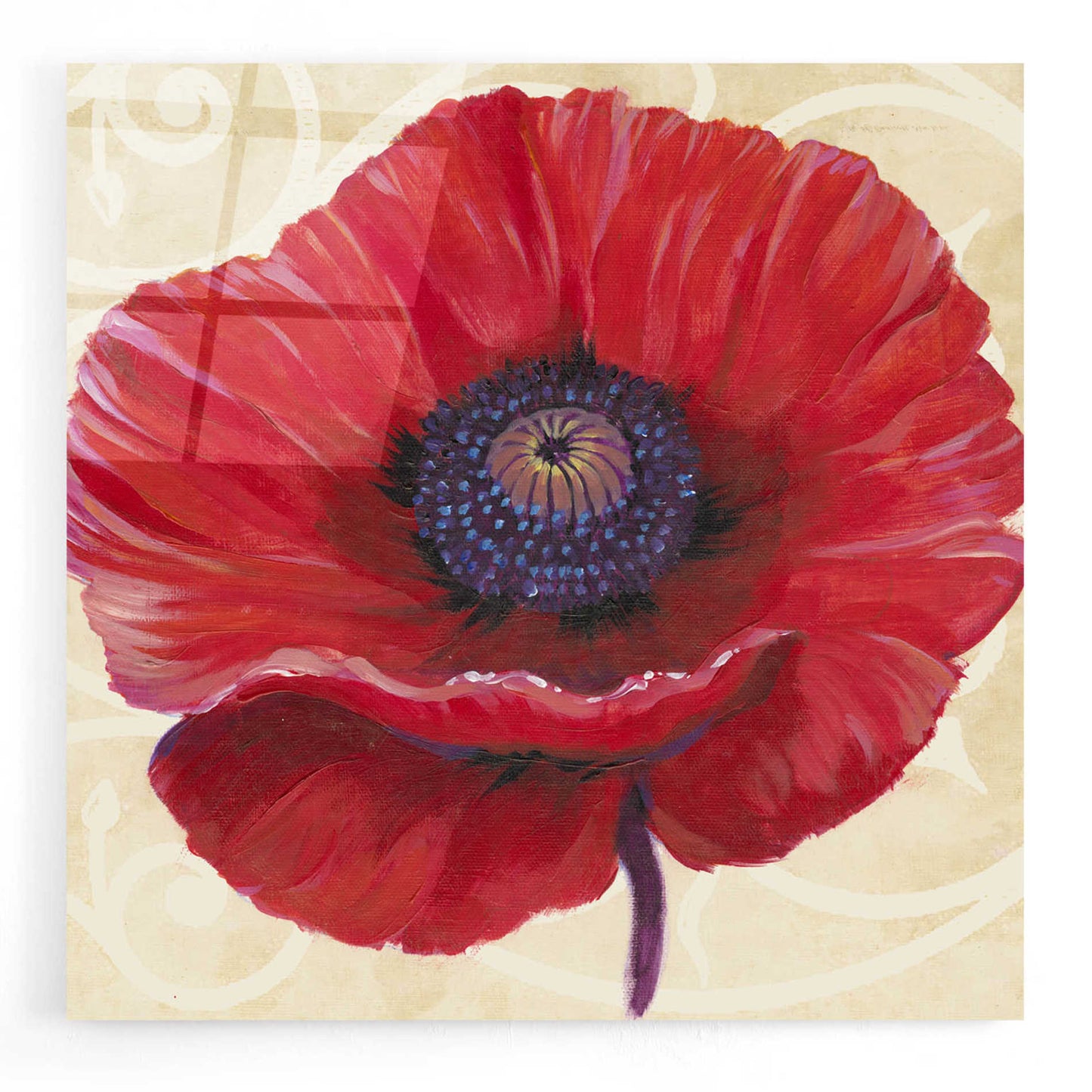 Epic Art 'Red Poppy II' by Tim O'Toole, Acrylic Glass Wall Art,24x24