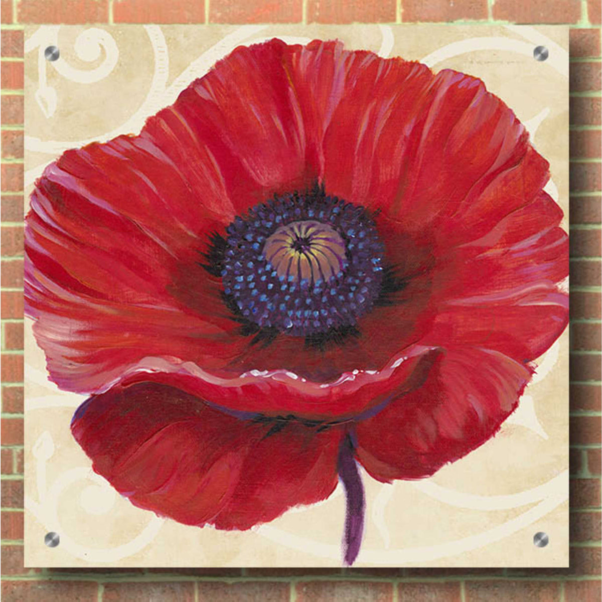 Epic Art 'Red Poppy II' by Tim O'Toole, Acrylic Glass Wall Art,36x36