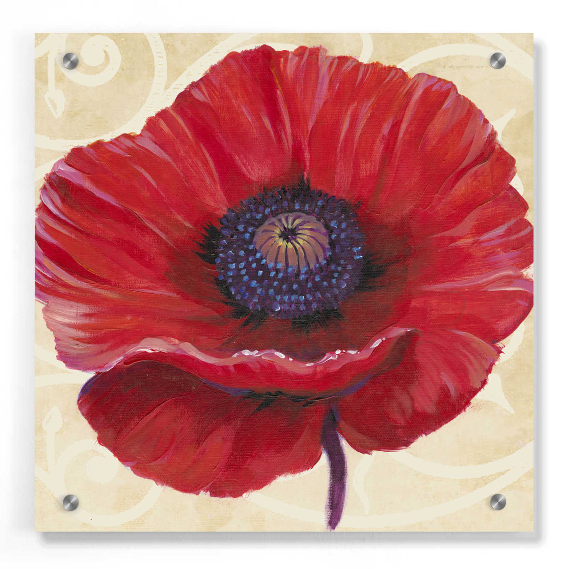 Epic Art 'Red Poppy II' by Tim O'Toole, Acrylic Glass Wall Art,36x36