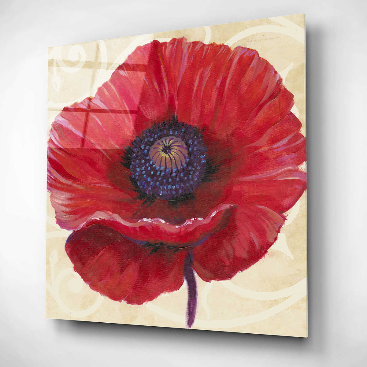 Epic Art 'Red Poppy II' by Tim O'Toole, Acrylic Glass Wall Art