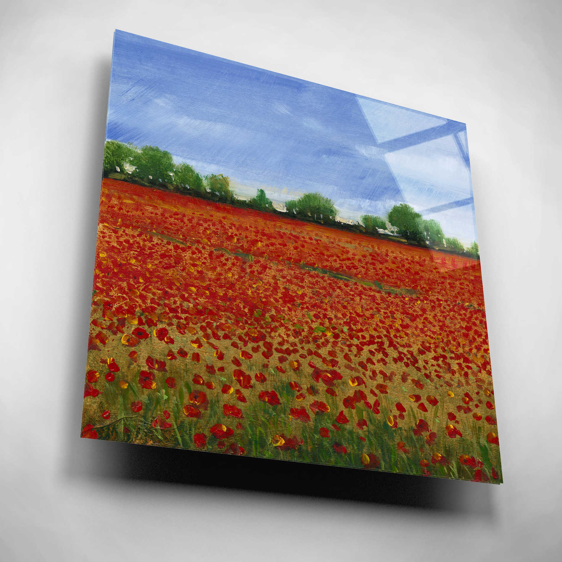 Epic Art 'Field of Poppies I' by Tim O'Toole, Acrylic Glass Wall Art,12x12