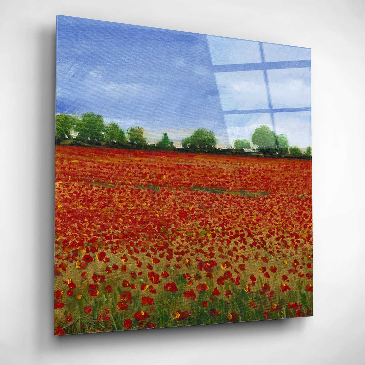 Epic Art 'Field of Poppies I' by Tim O'Toole, Acrylic Glass Wall Art,12x12