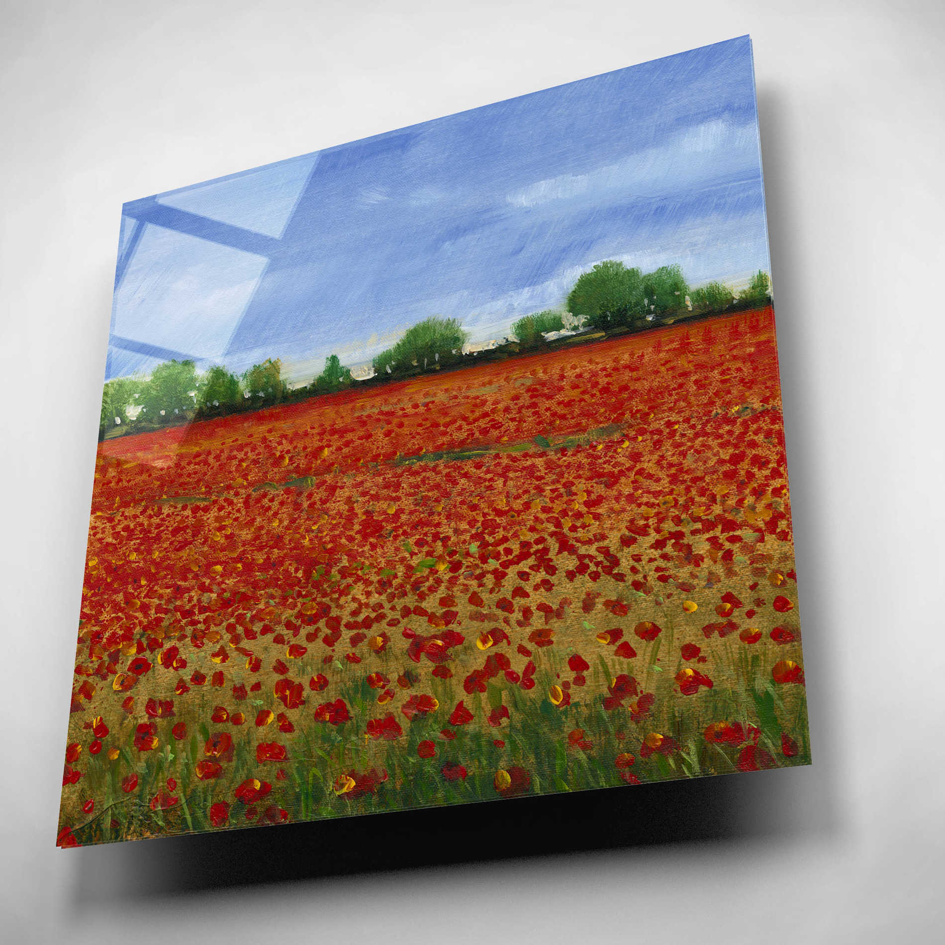 Epic Art 'Field of Poppies I' by Tim O'Toole, Acrylic Glass Wall Art,12x12