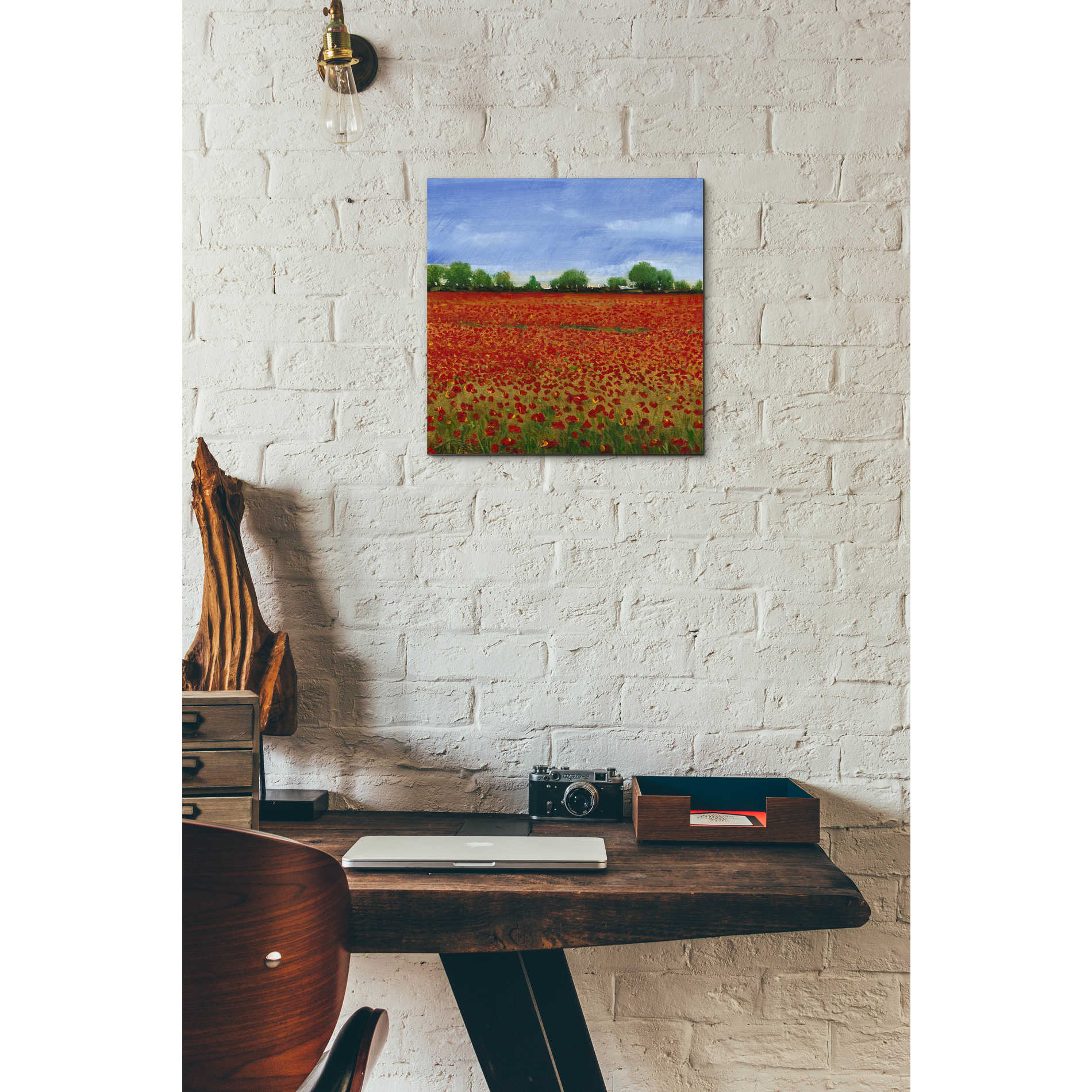 Epic Art 'Field of Poppies I' by Tim O'Toole, Acrylic Glass Wall Art,12x12