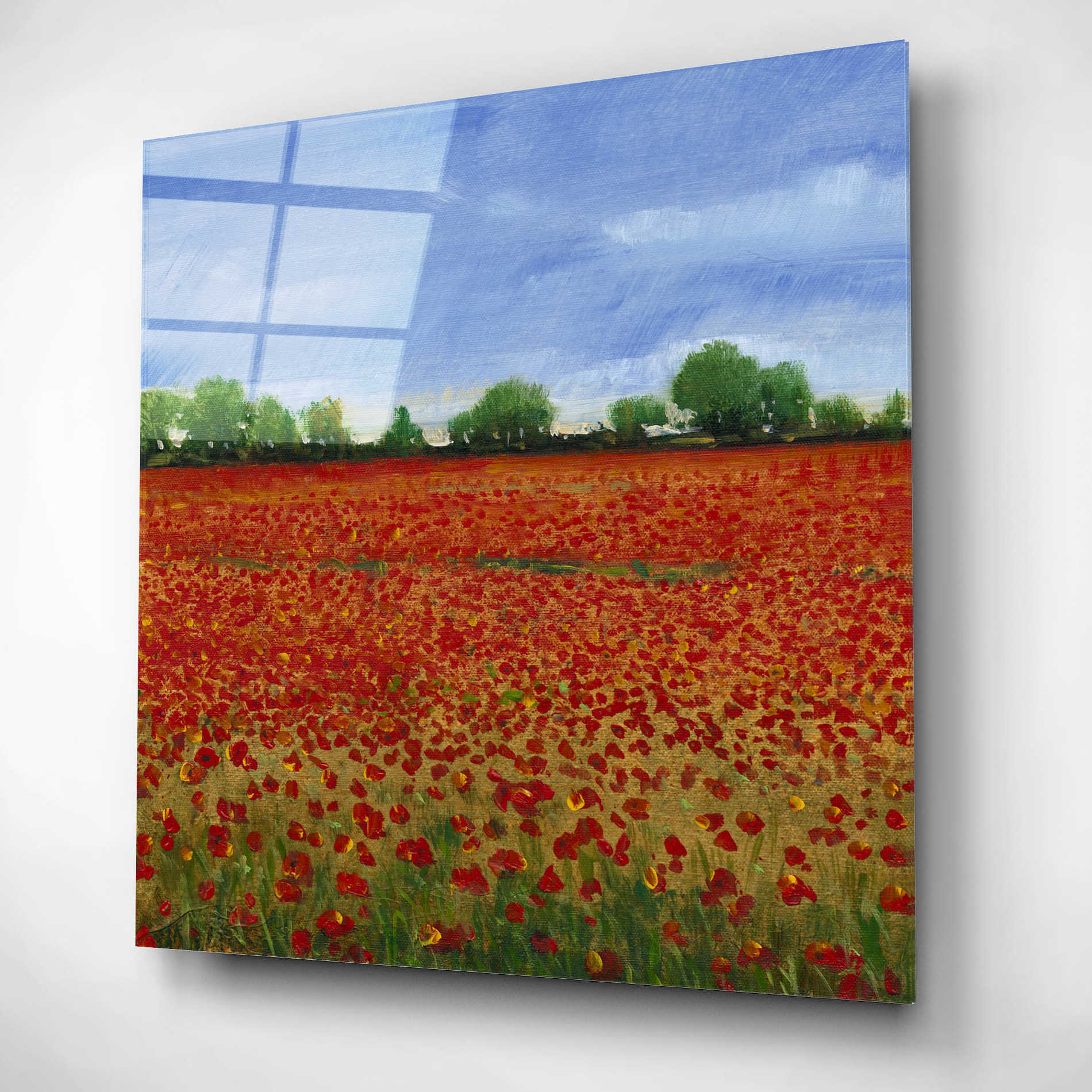 Epic Art 'Field of Poppies I' by Tim O'Toole, Acrylic Glass Wall Art,12x12