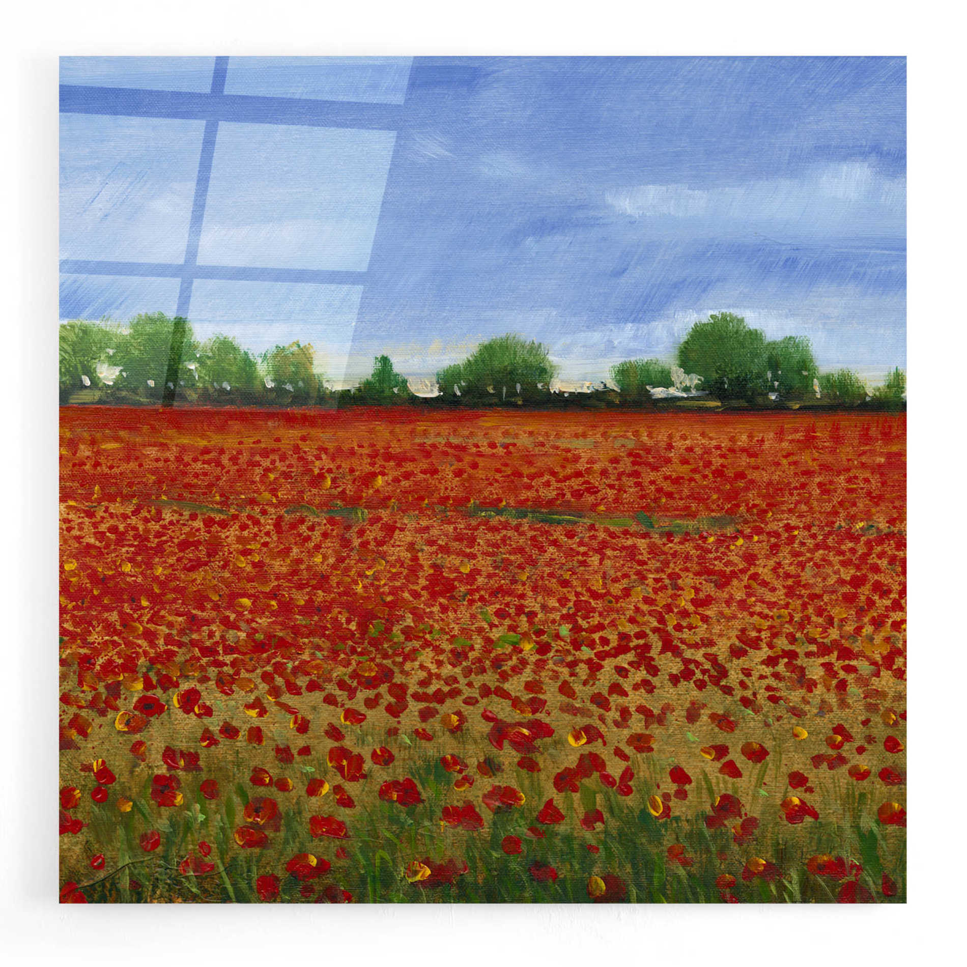 Epic Art 'Field of Poppies I' by Tim O'Toole, Acrylic Glass Wall Art,24x24