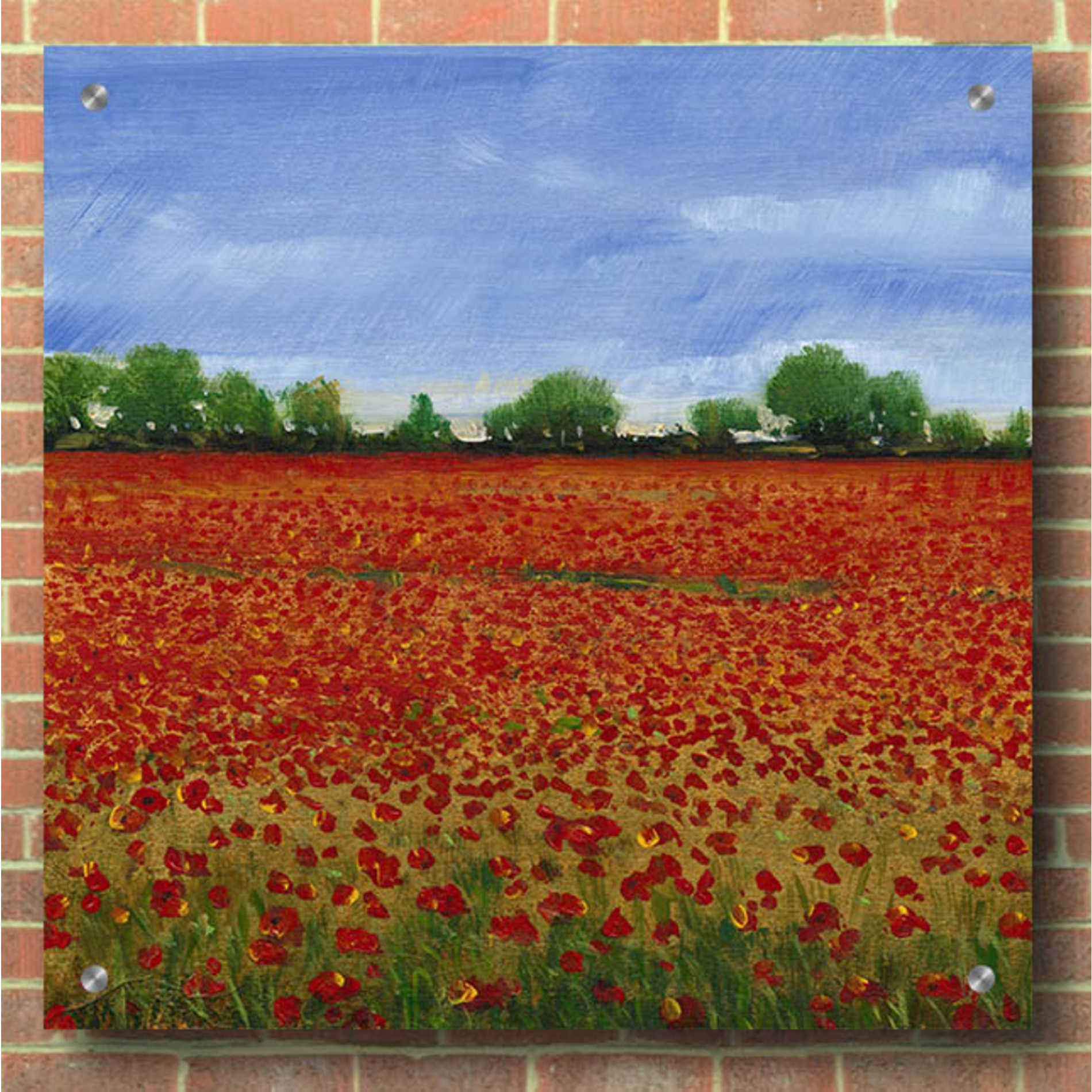 Epic Art 'Field of Poppies I' by Tim O'Toole, Acrylic Glass Wall Art,36x36