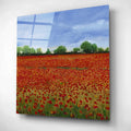 Epic Art 'Field of Poppies I' by Tim O'Toole, Acrylic Glass Wall Art