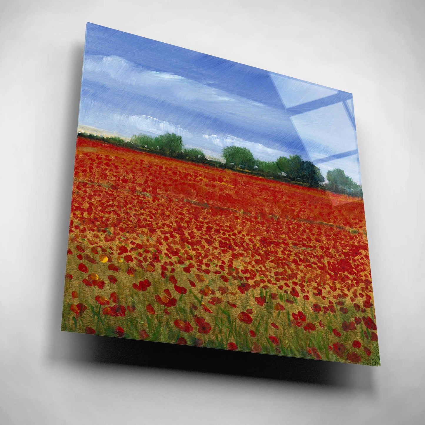 Epic Art 'Field of Poppies II' by Tim O'Toole, Acrylic Glass Wall Art,12x12