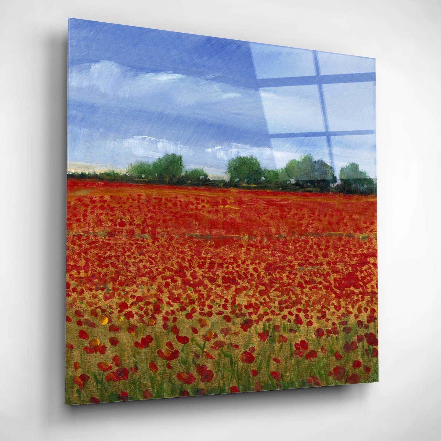 Epic Art 'Field of Poppies II' by Tim O'Toole, Acrylic Glass Wall Art,12x12