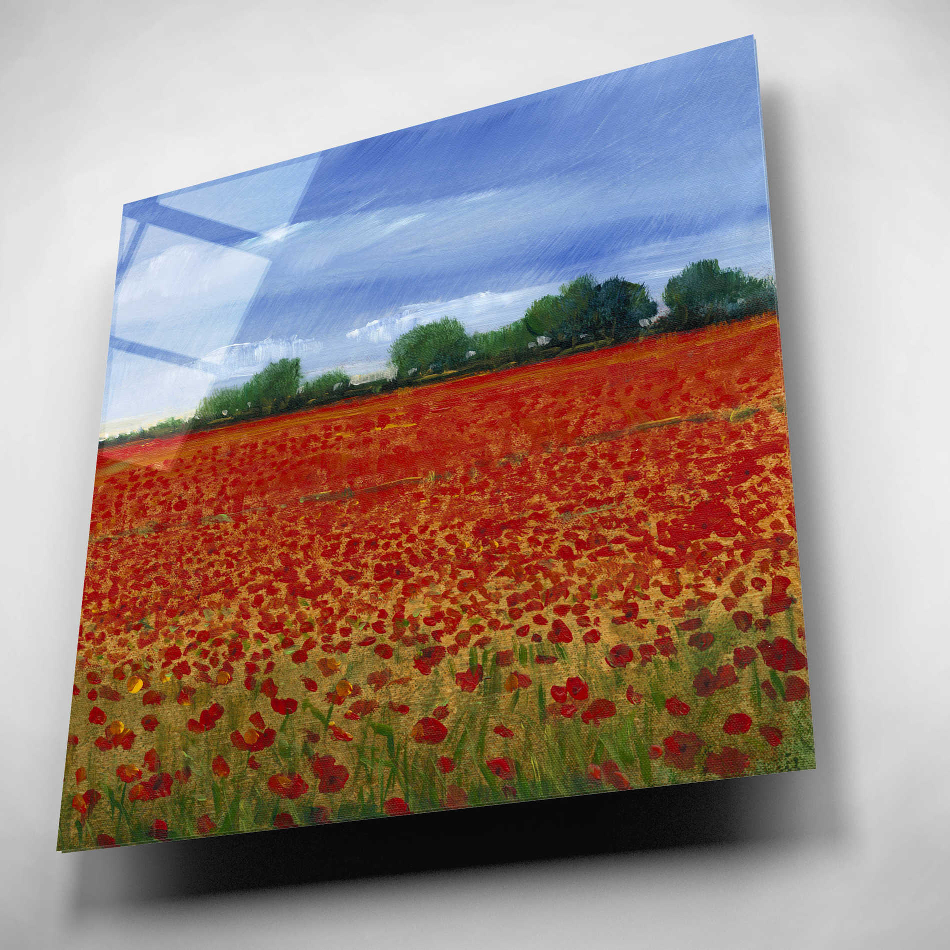 Epic Art 'Field of Poppies II' by Tim O'Toole, Acrylic Glass Wall Art,12x12