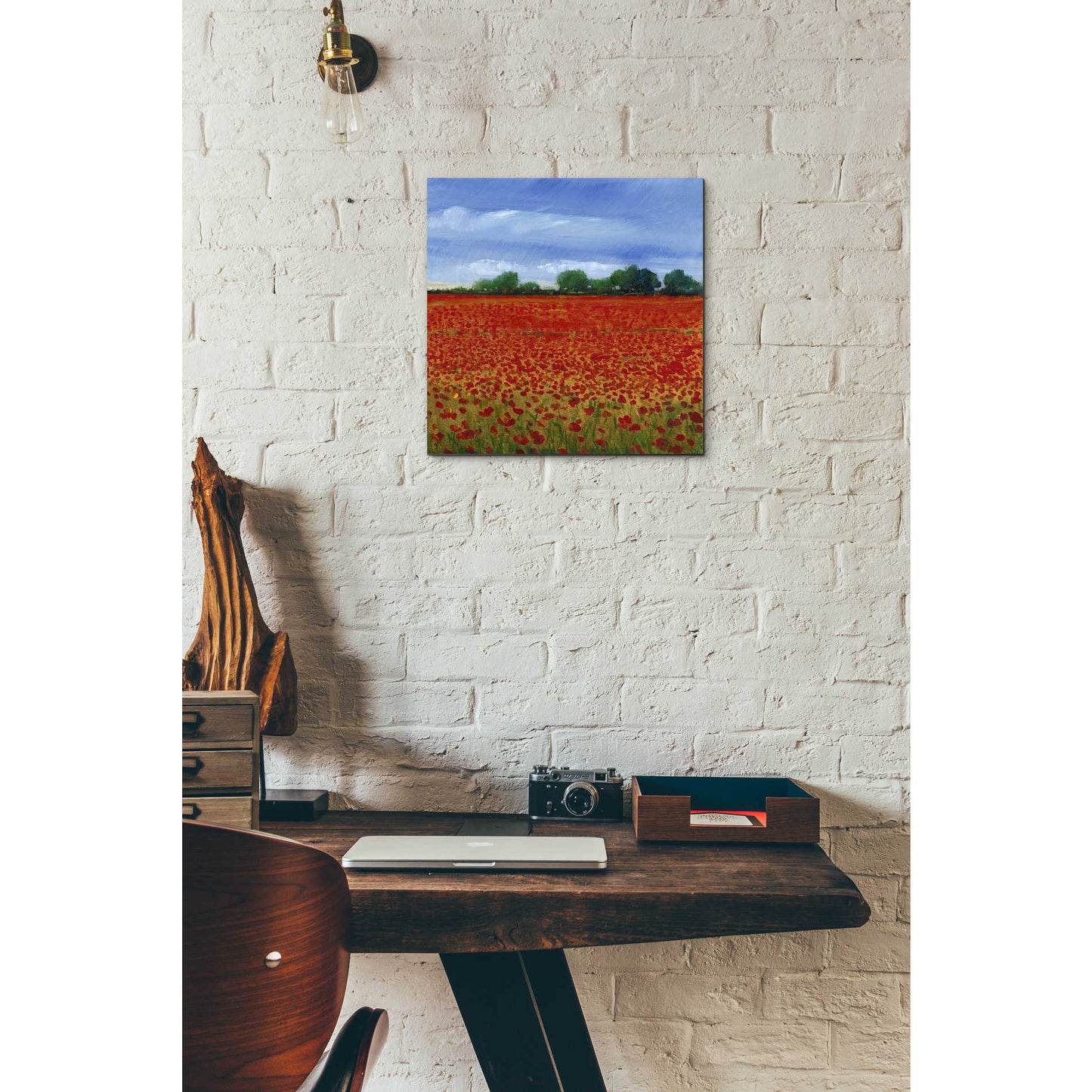 Epic Art 'Field of Poppies II' by Tim O'Toole, Acrylic Glass Wall Art,12x12