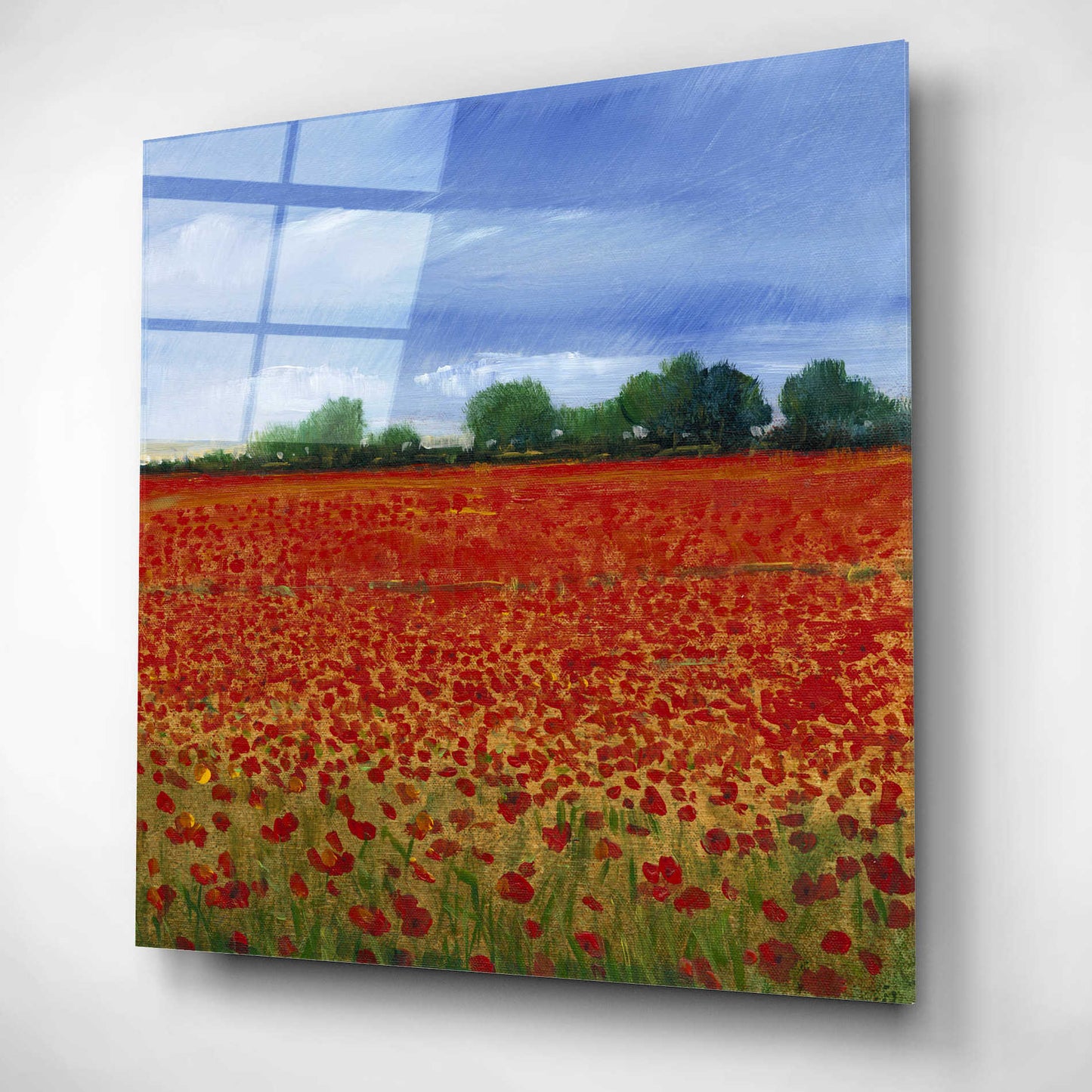 Epic Art 'Field of Poppies II' by Tim O'Toole, Acrylic Glass Wall Art,12x12