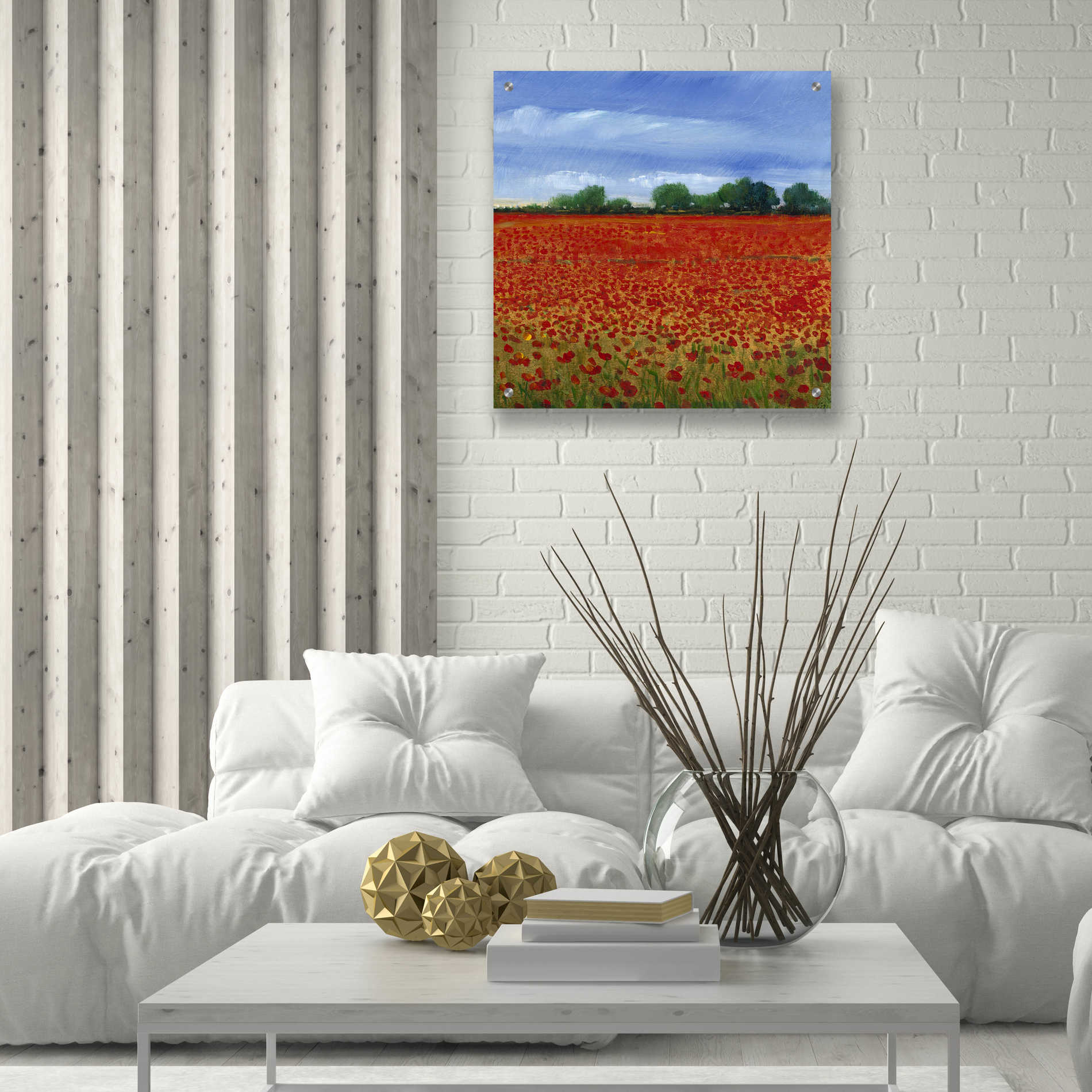 Epic Art 'Field of Poppies II' by Tim O'Toole, Acrylic Glass Wall Art,24x24